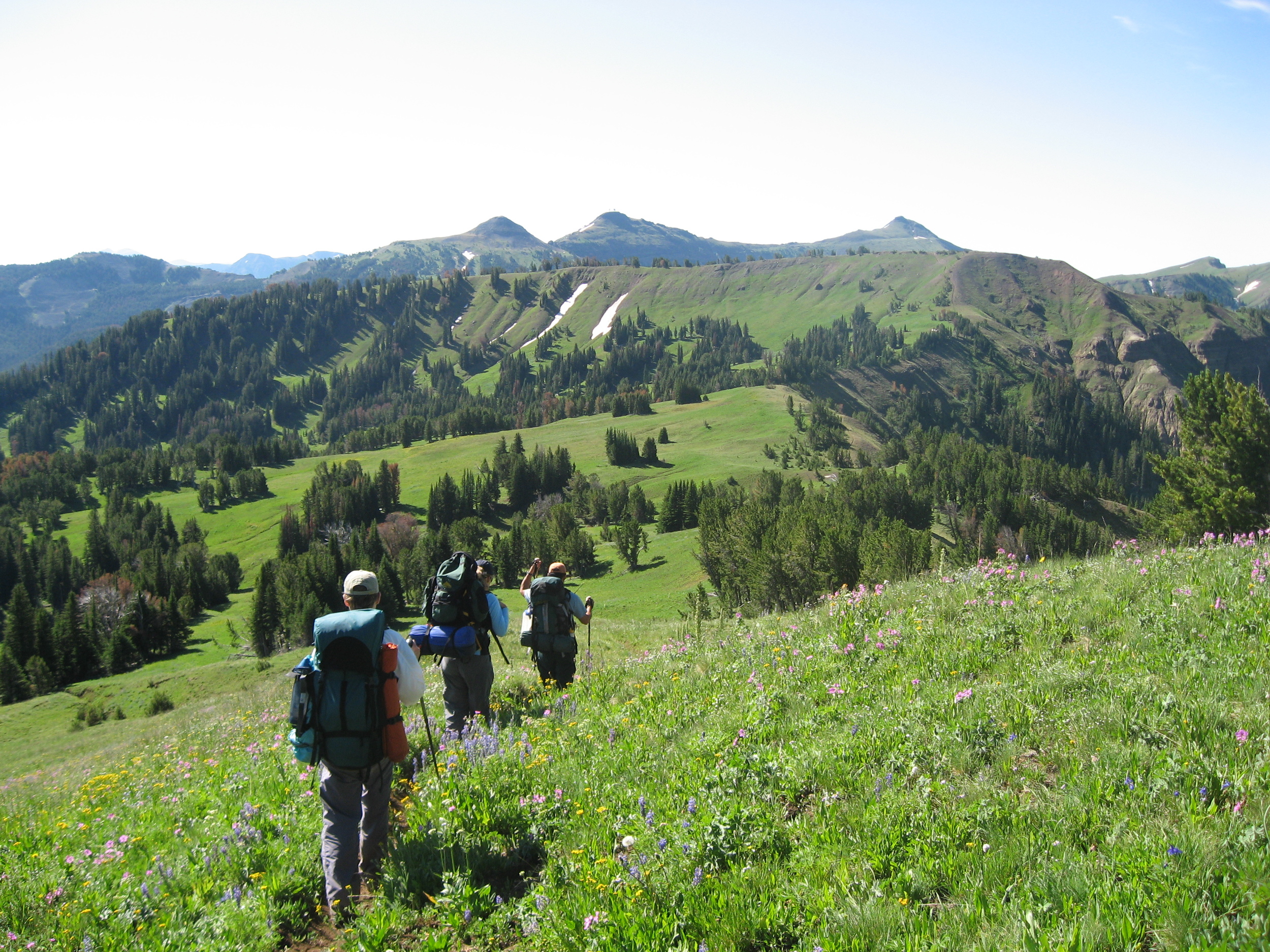 Greater Yellowstone Coalition