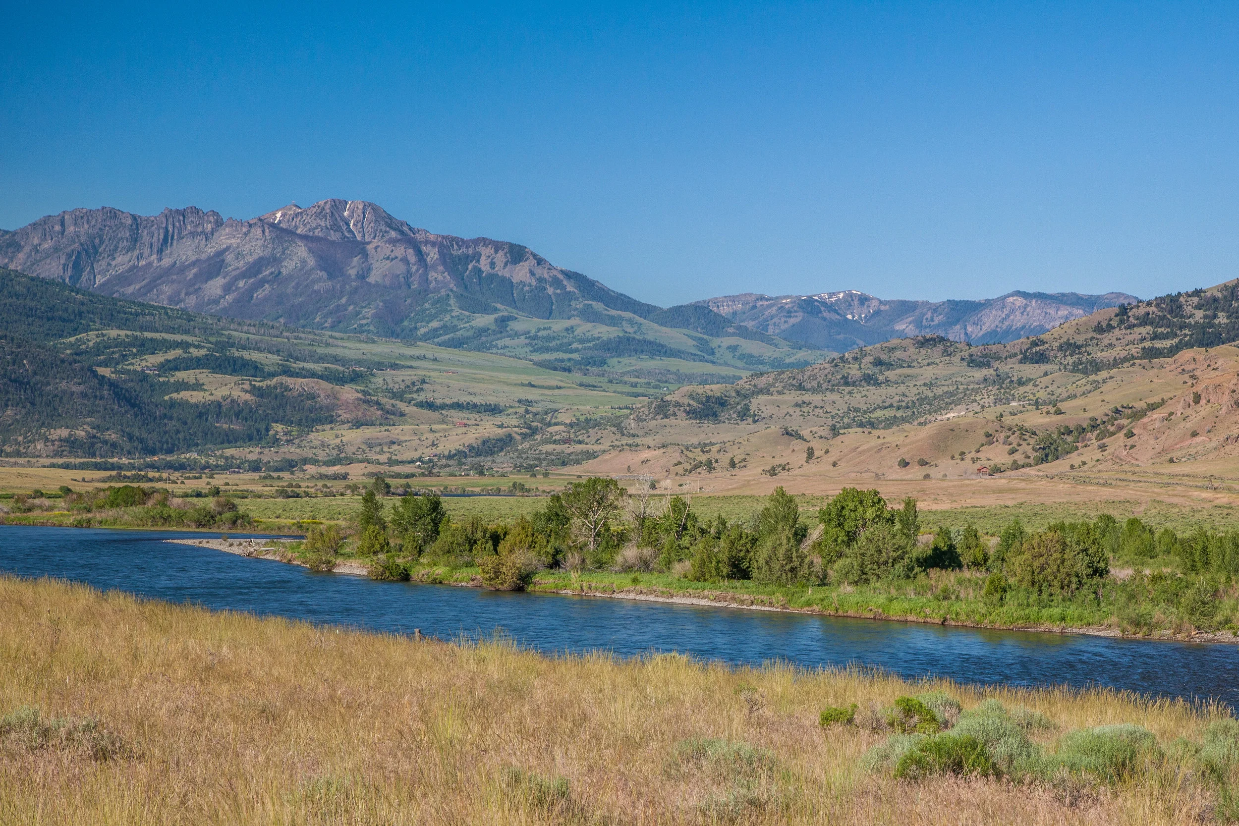 The Yellowstone River in Montana's Paradise Valley, north of Yellowstone Nat'l Park. (Photo Donna Lawson.)