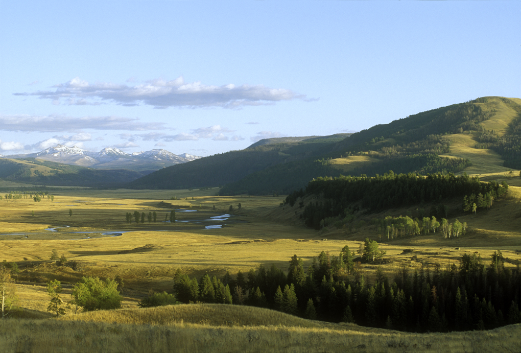 Yellowstone's Lamar Valley in early fall. (Photo Tom Murphy.)
