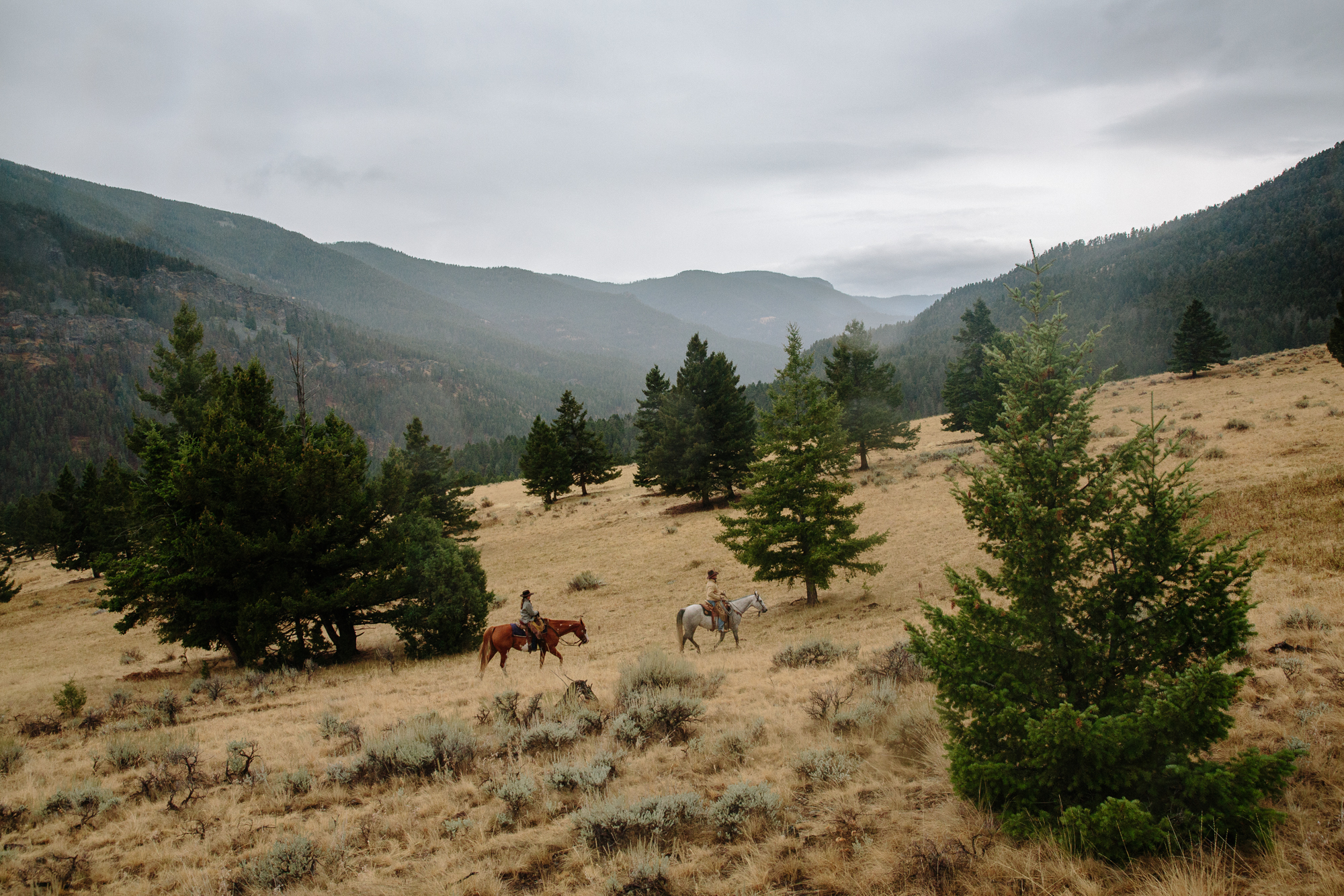 Horseback riders in Montana's Gallatin Range. (Photo Louise Johns.)