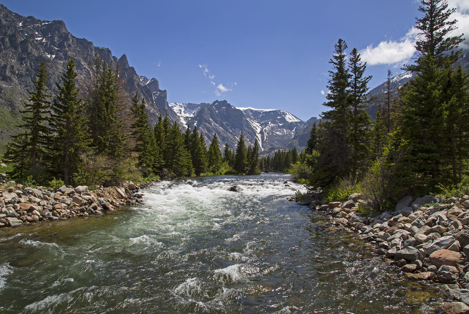 Montana's East Rosebud Creek. We've worked for years with local businesses, ranchers, anglers, paddlers, and others to keep this river like it is. (Photo Kathy Lichtendahl.)