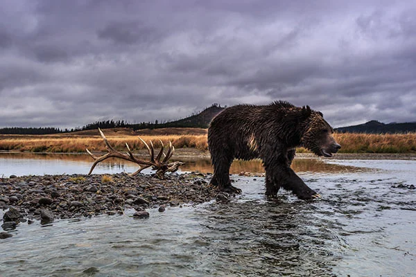 Yellowstone image_web_Ronan.jpg