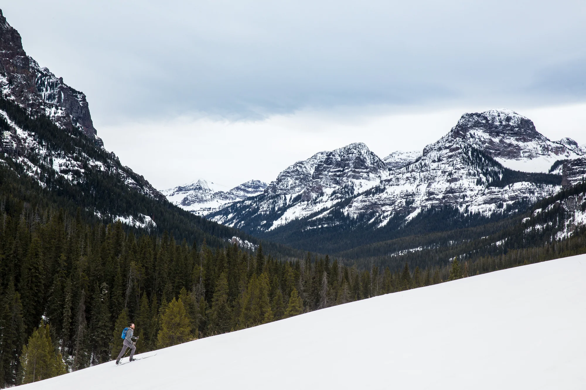A skiier in Montana's Custer Gallatin National Forest. You can make your voice heard today, and make a difference in how this forest is managed for the next 20-30 years. (Photo Louise Johns.)