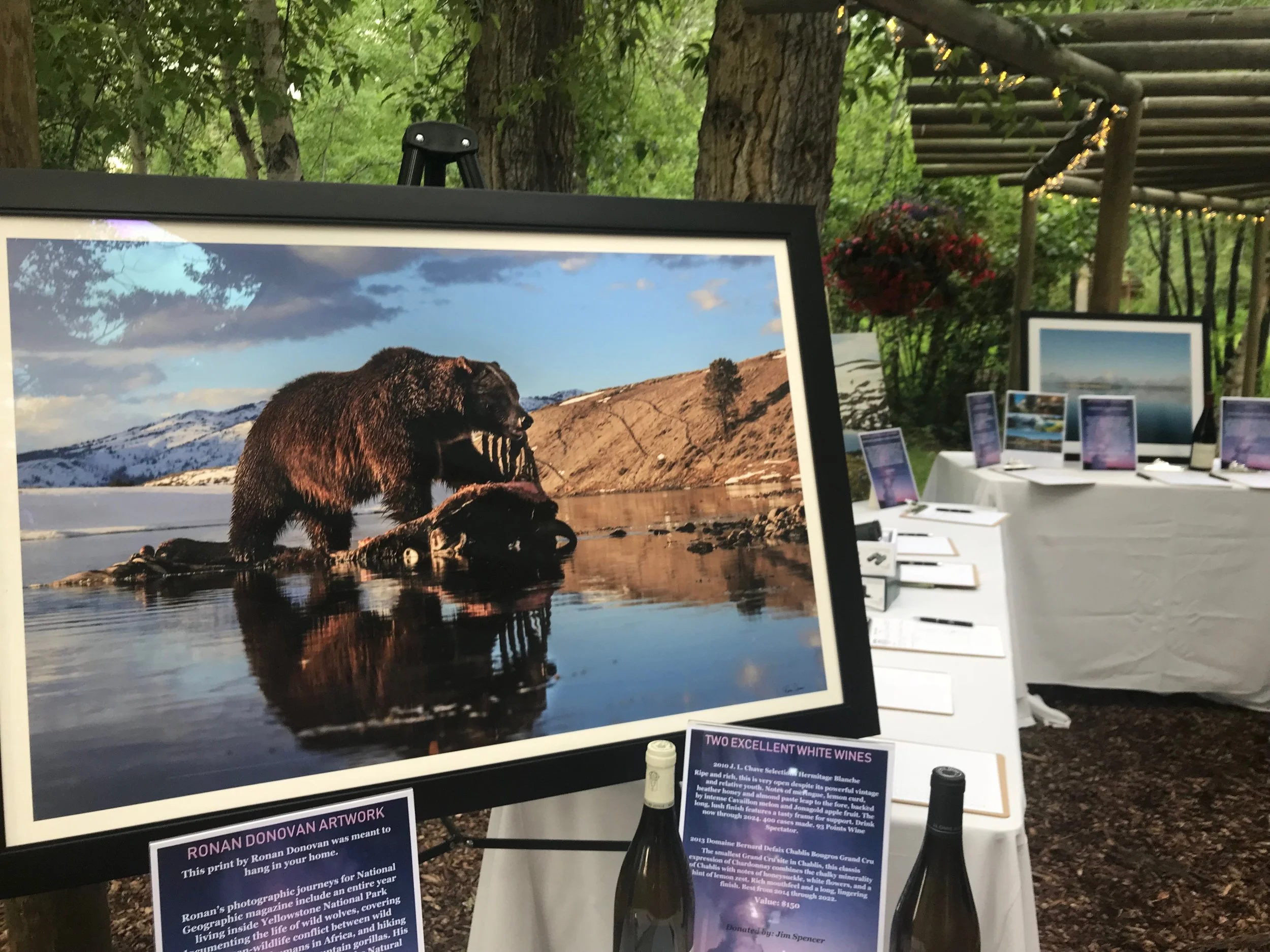 A print from photographer Ronan Donovan was included in the silent auction items. (Photo courtesy GYC.)