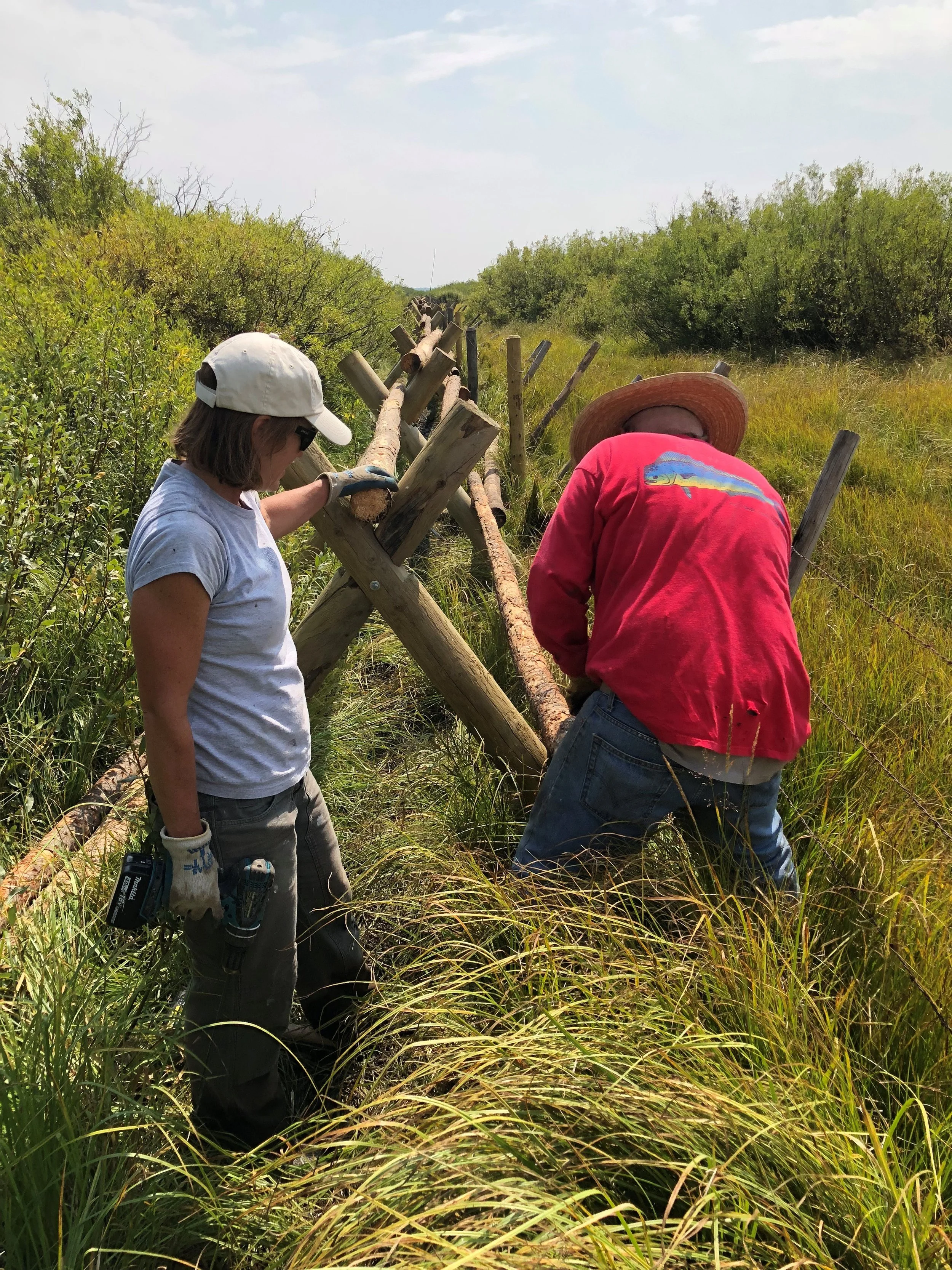 GYC Idaho Conservation Coordinator Kathy Rinaldi (left) and a volunteer install the fence. (Photo GYC.)