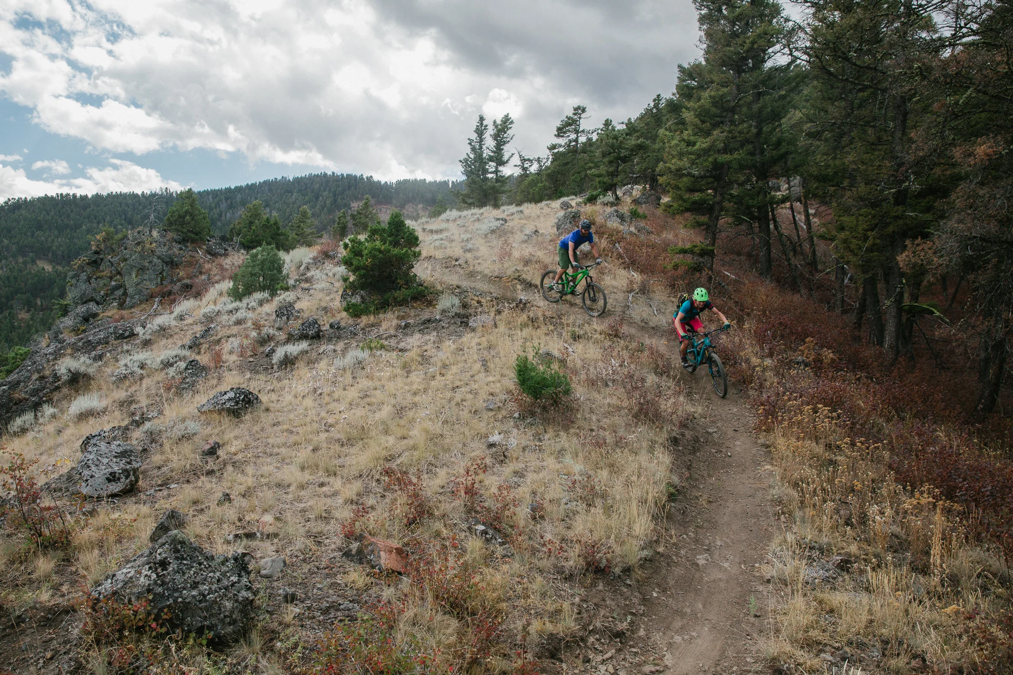 Mountain biking in the Custer Gallatin National Forest in Montana. (Photo Louise Johns.)