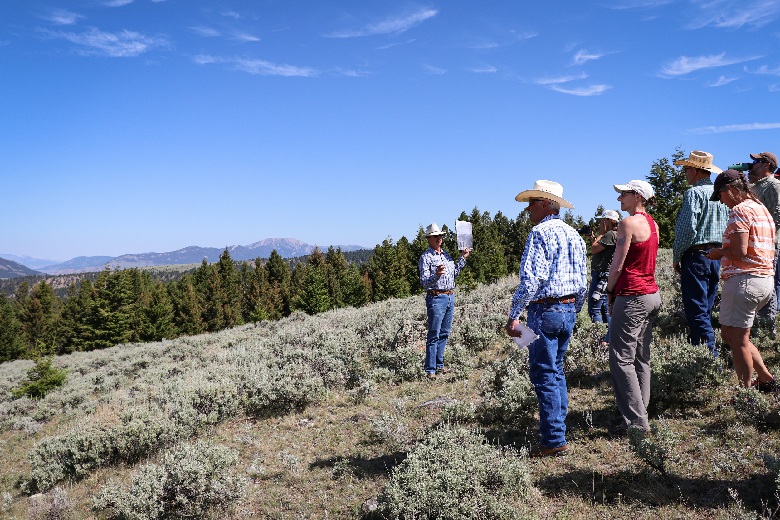 Conservation groups, ranchers, government employees, local representatives, and the media joins the 2019 Ruby Valley Strategic Alliance field trip. (Photo GYC/Emmy Reed.)