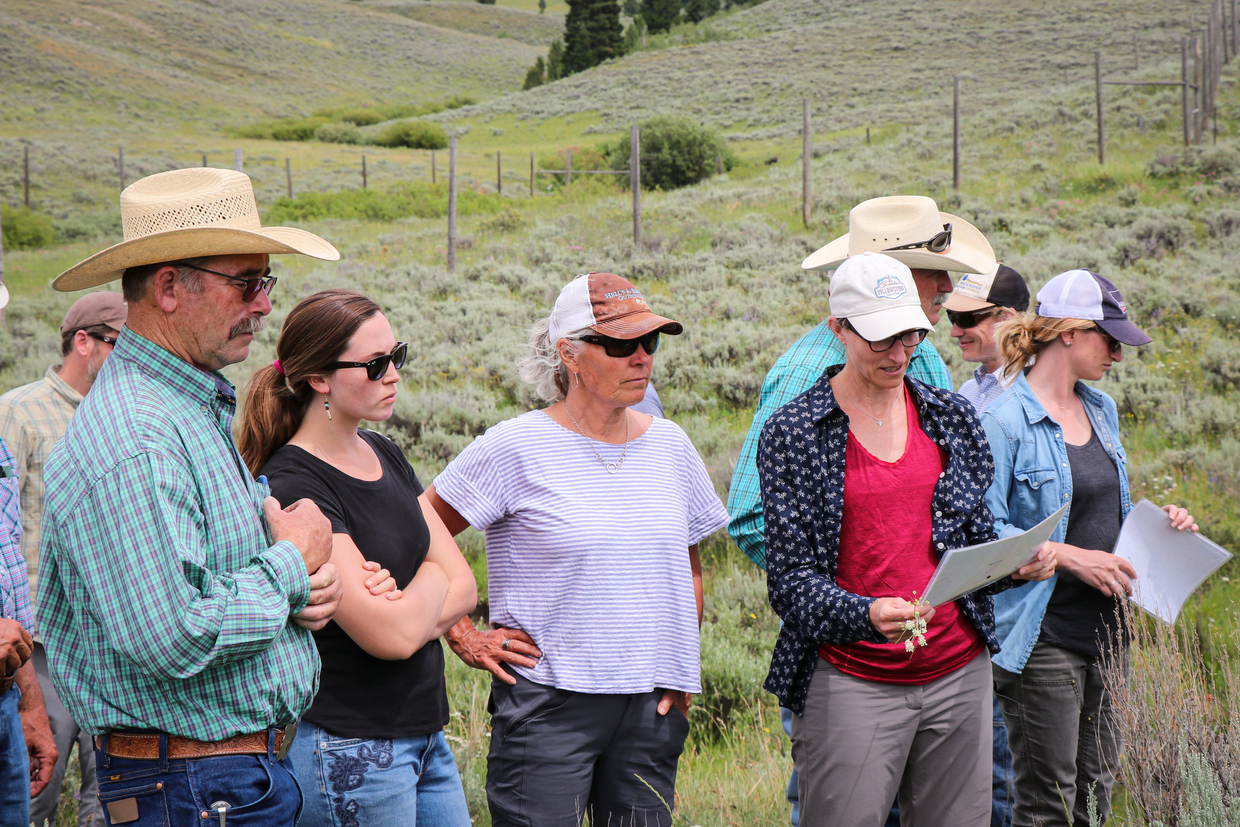 (L to R) Rancher Neil Barnosky, GYC’s Wildlife Program Associate Brooke Shifrin, GYC’s Executive Director Caroline Byrd, and GYC’s Montana Conservation Coordinator Darcie Warden review data on the 2019 Ruby Valley Strategic Alliance field trip. (Photo GYC/Emmy Reed.)