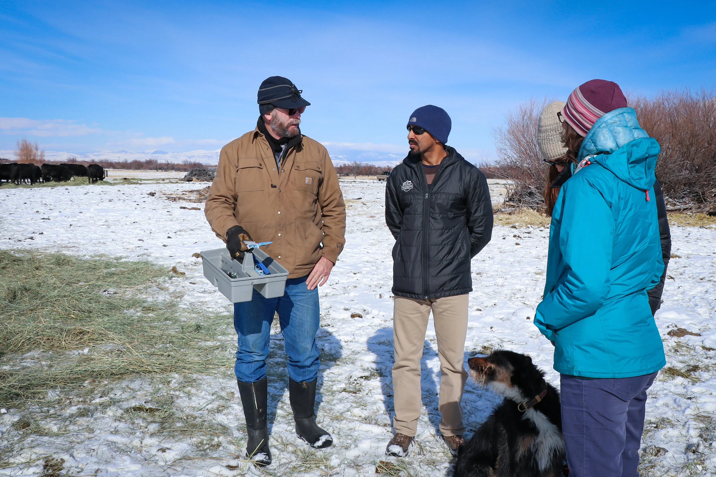 GYC’s Director of Conservation Siva Sundaresan, Montana Conservation Coordinator Darcie Warden, and Wildlife Program Associate Brooke Shifrin visit with rancher Neil Barnosky to learn about his winter operations. (Photo GYC/Emmy Reed.)