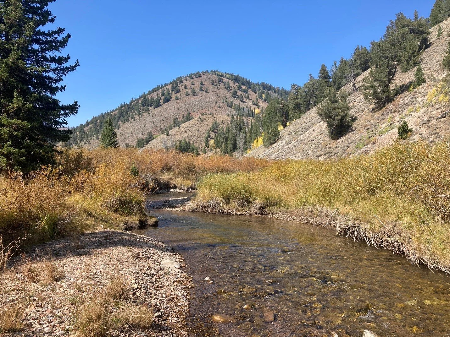 Stories from the field: Finding eligible Wild &amp; Scenic rivers in Wyoming, Part II