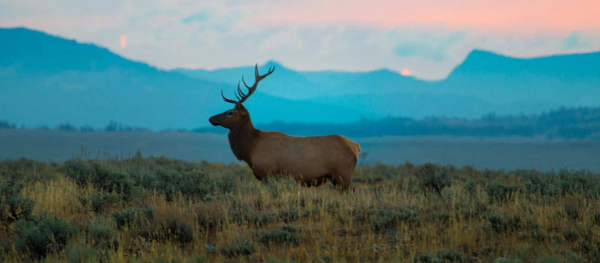 A Win for Wyoming! Wyoming invests $75 million in Wyoming Wildlife &amp; Natural Resources Trust 