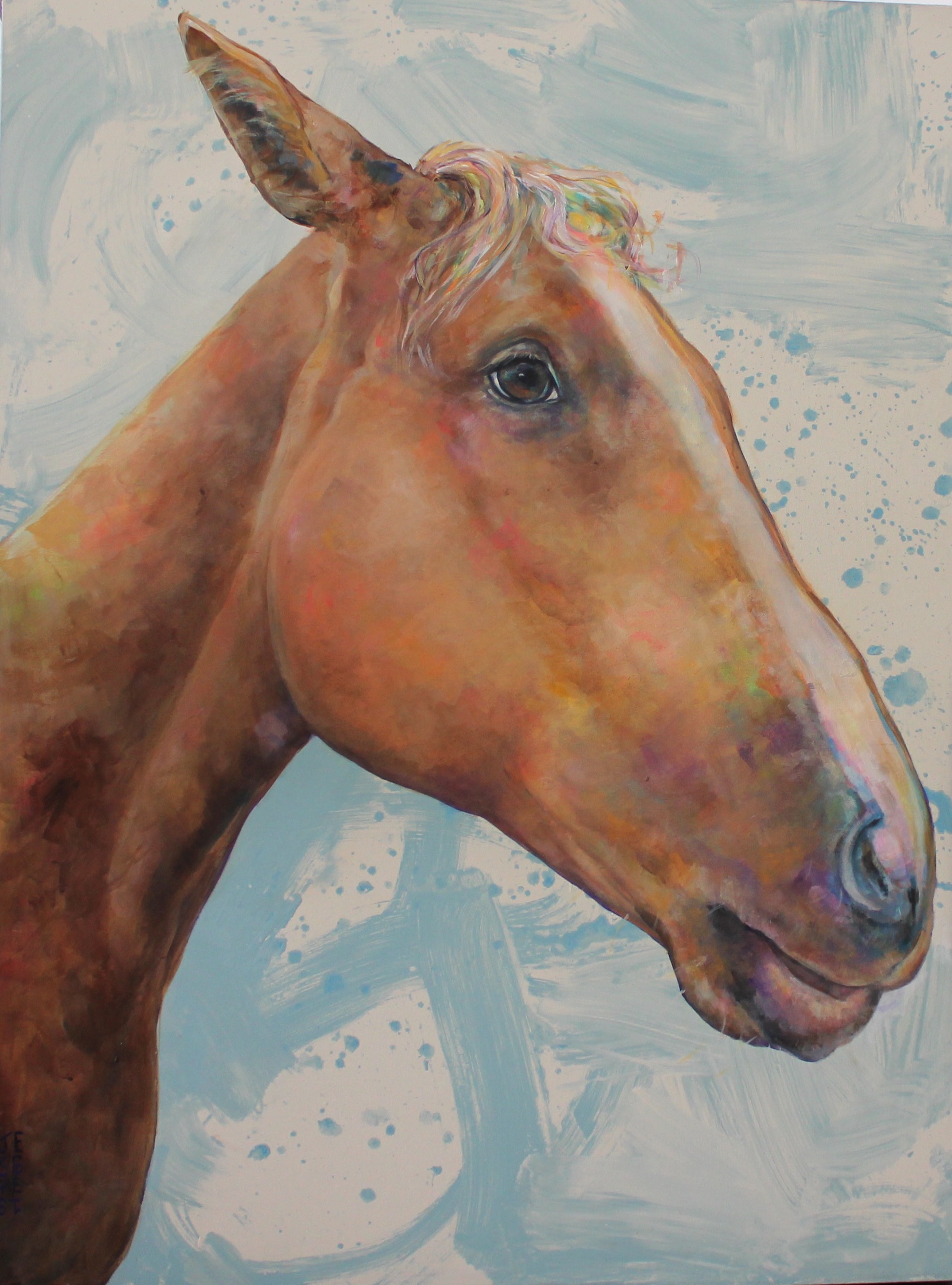 "Starbuck" 48"x36"