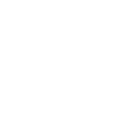 OYNILicon.png