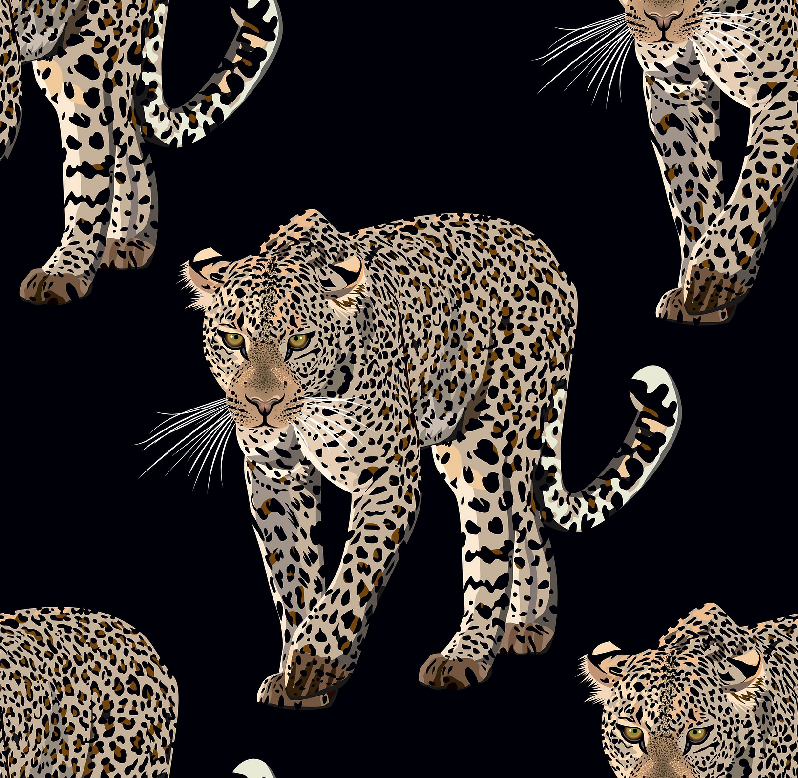 Black Cheetah