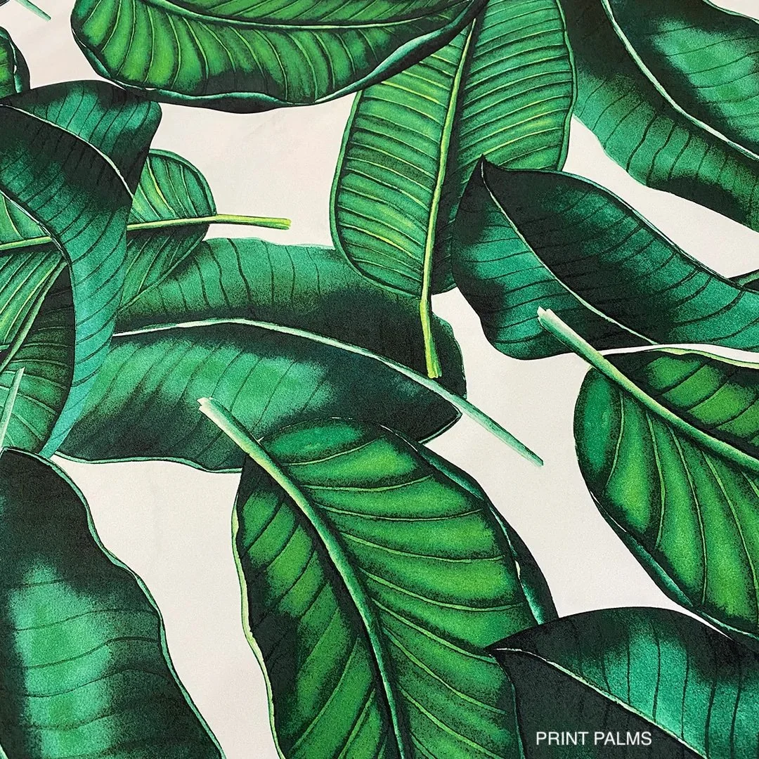 Print PALMS.jpg