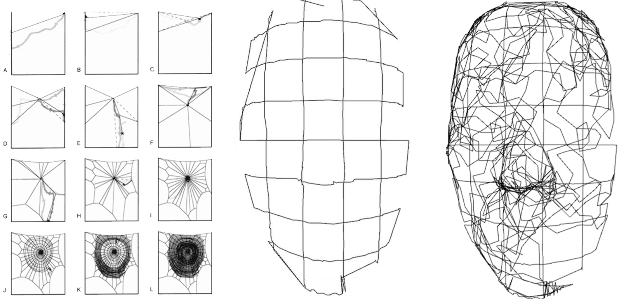 The supports are inspired after the way spiders build their webs.