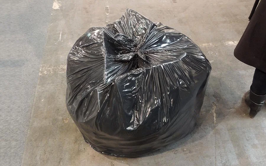 http://www.artsology.com/gavin-turk-garbage-bag.php