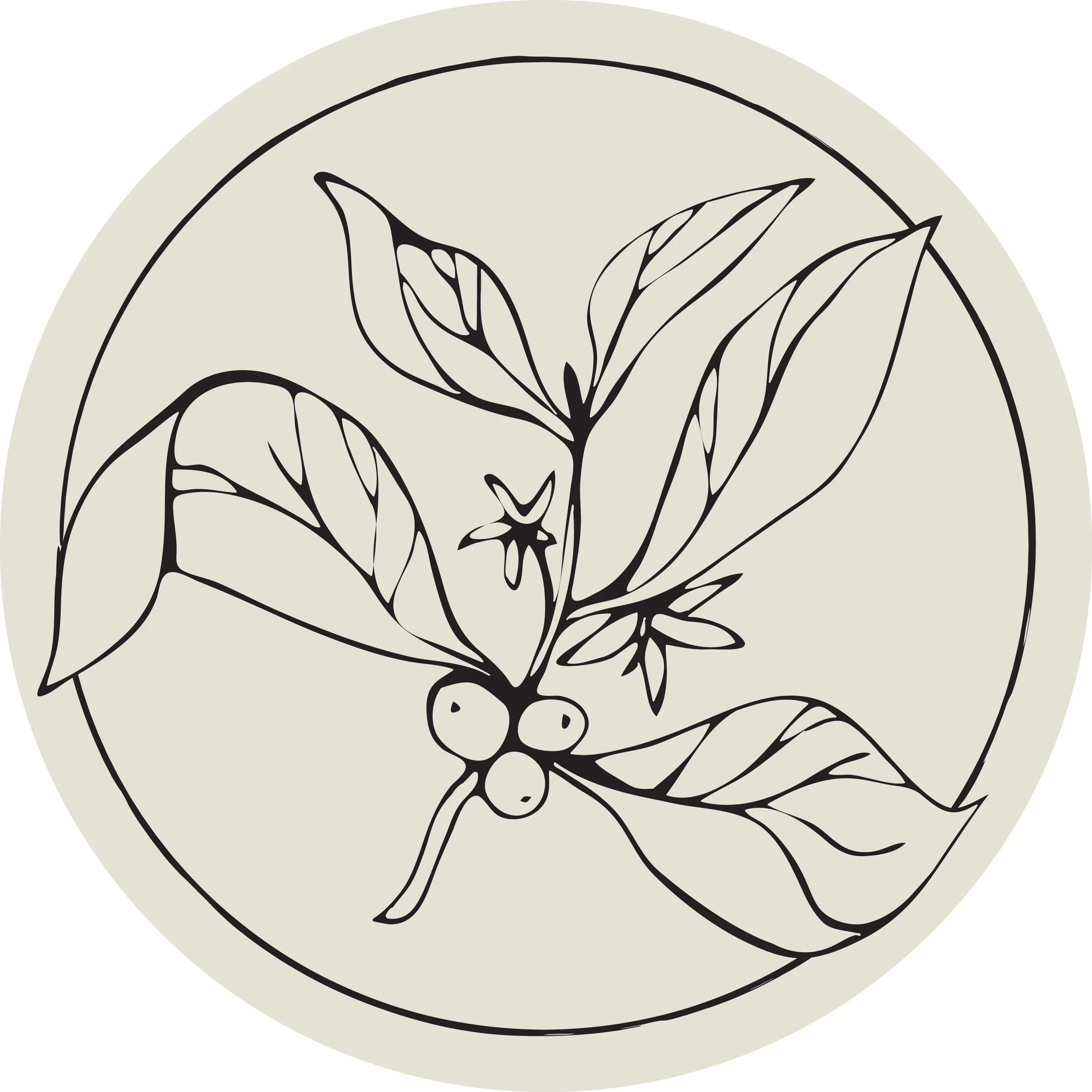 Festive Sip &amp; Shop at Emilie's Coffee House