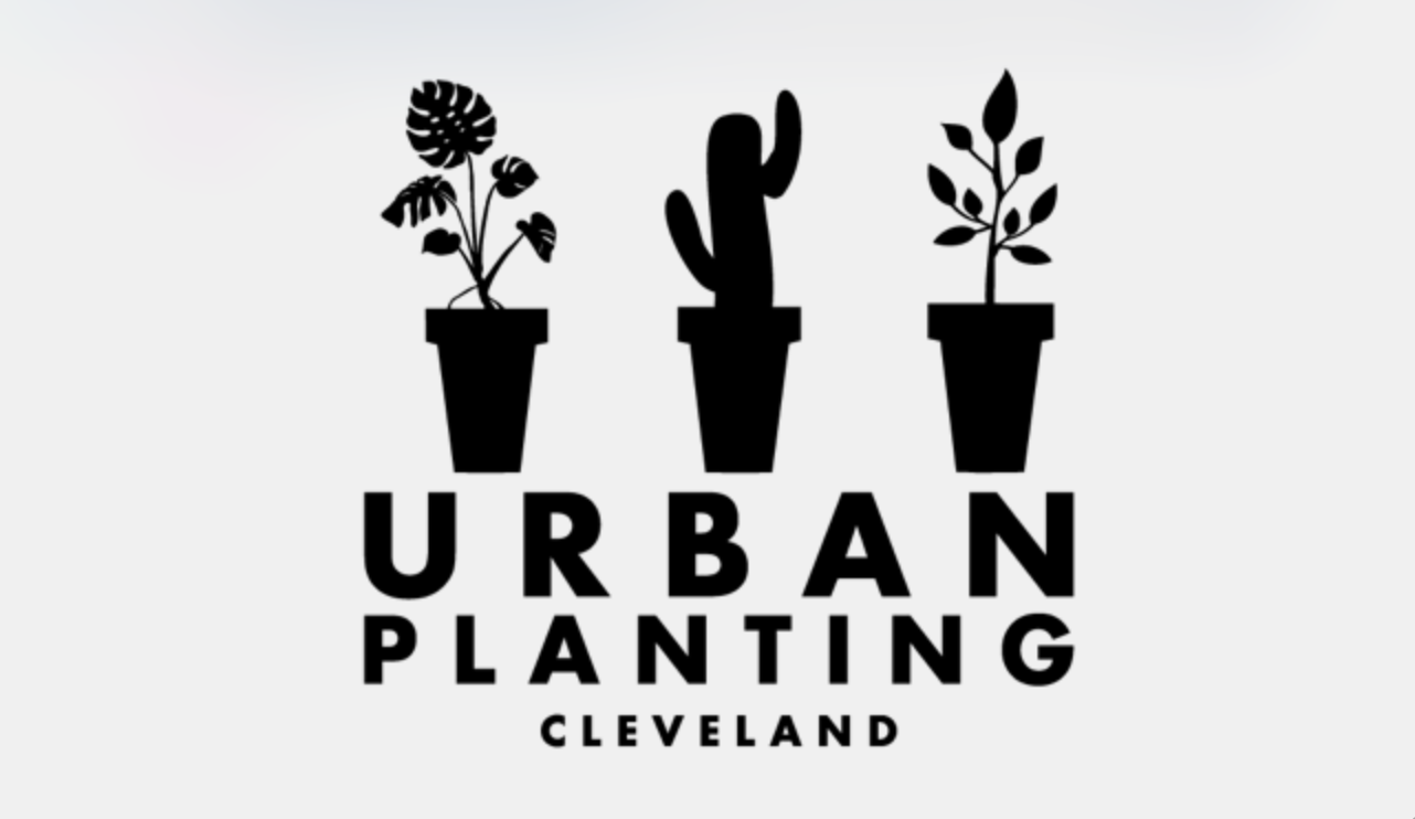 Articles at the Urban Planting Warehouse Sale