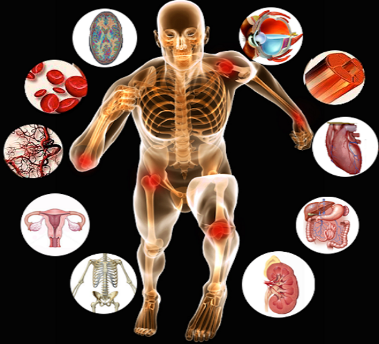 Exercise Physiology 360 - Covered advanced energy metabolism and effect of altitude and maintenance of blood pH