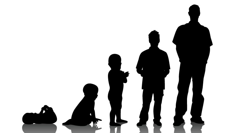 Human Growth and Development – covers developmental milestones of life from birth to late adulthood