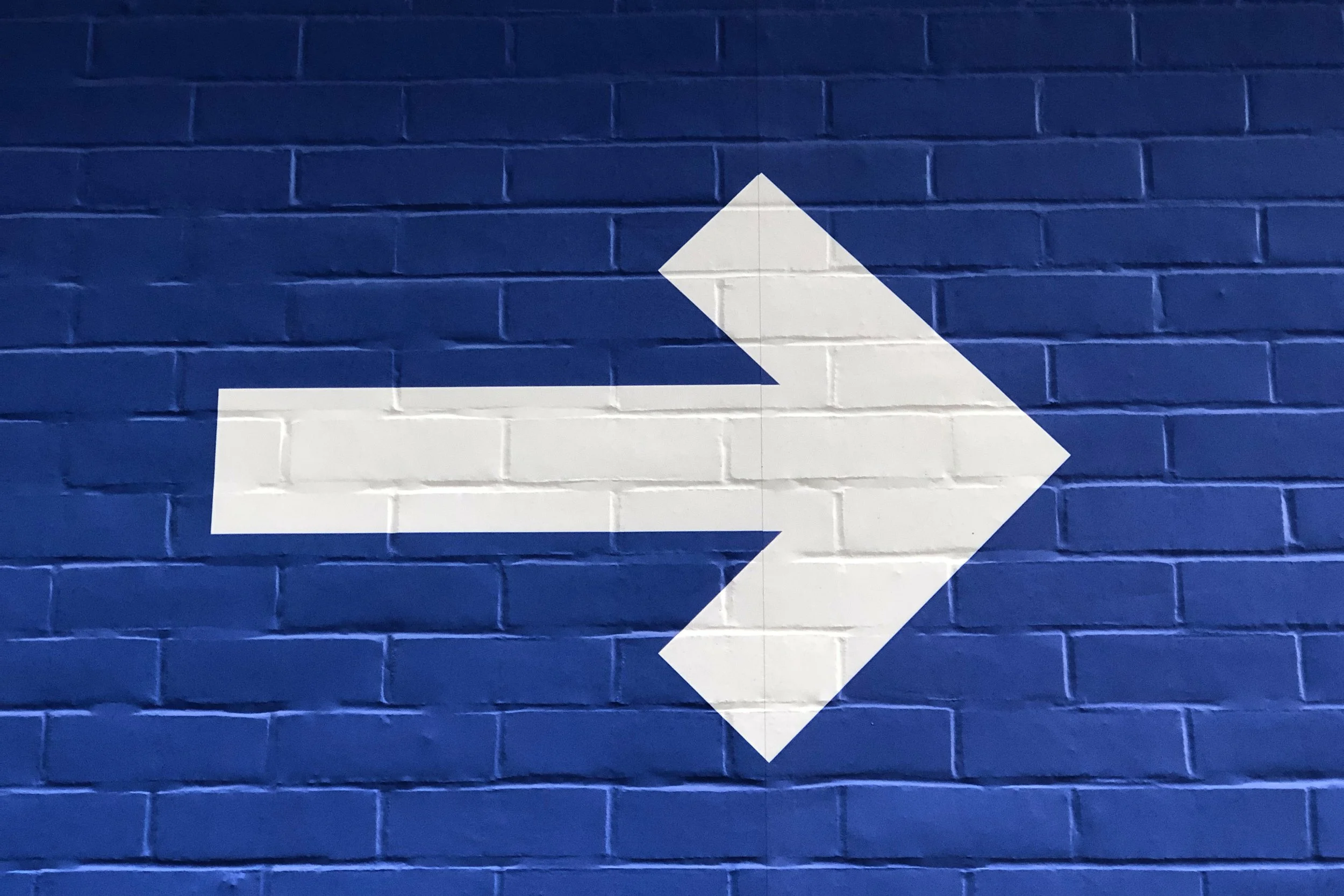 Latest insight on decision-making