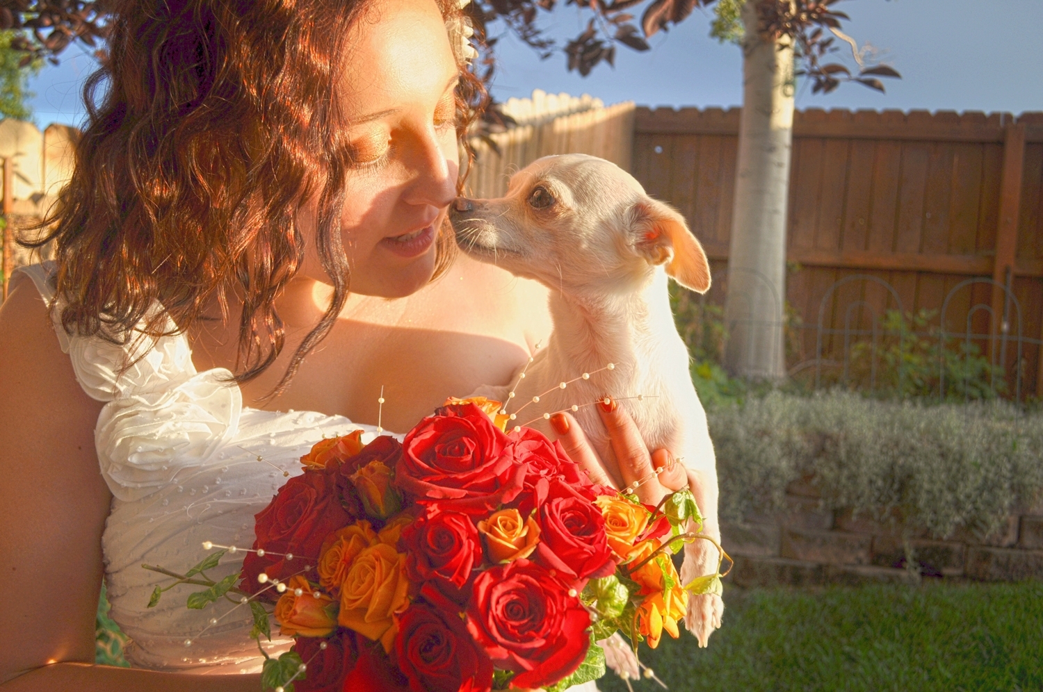 17. Weddings-Puppy-Kiss_Carly-Carpenter.jpg
