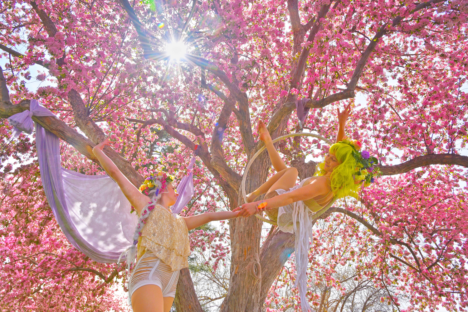 Fairy-Tale-Blossoms-Faeries_Carly-Carpenter.jpg