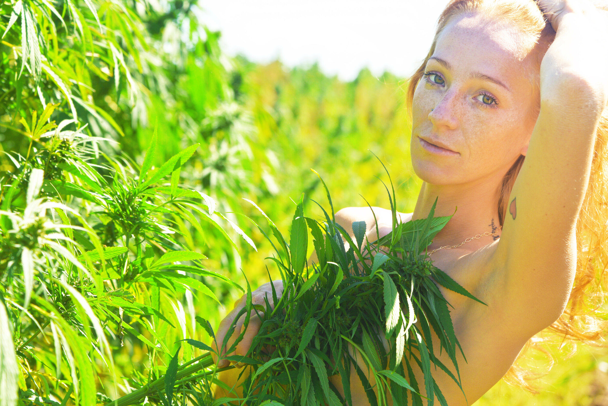 Dani Fontaine Colorado Hemp Project Carly Carpenter Photography WEB.jpg