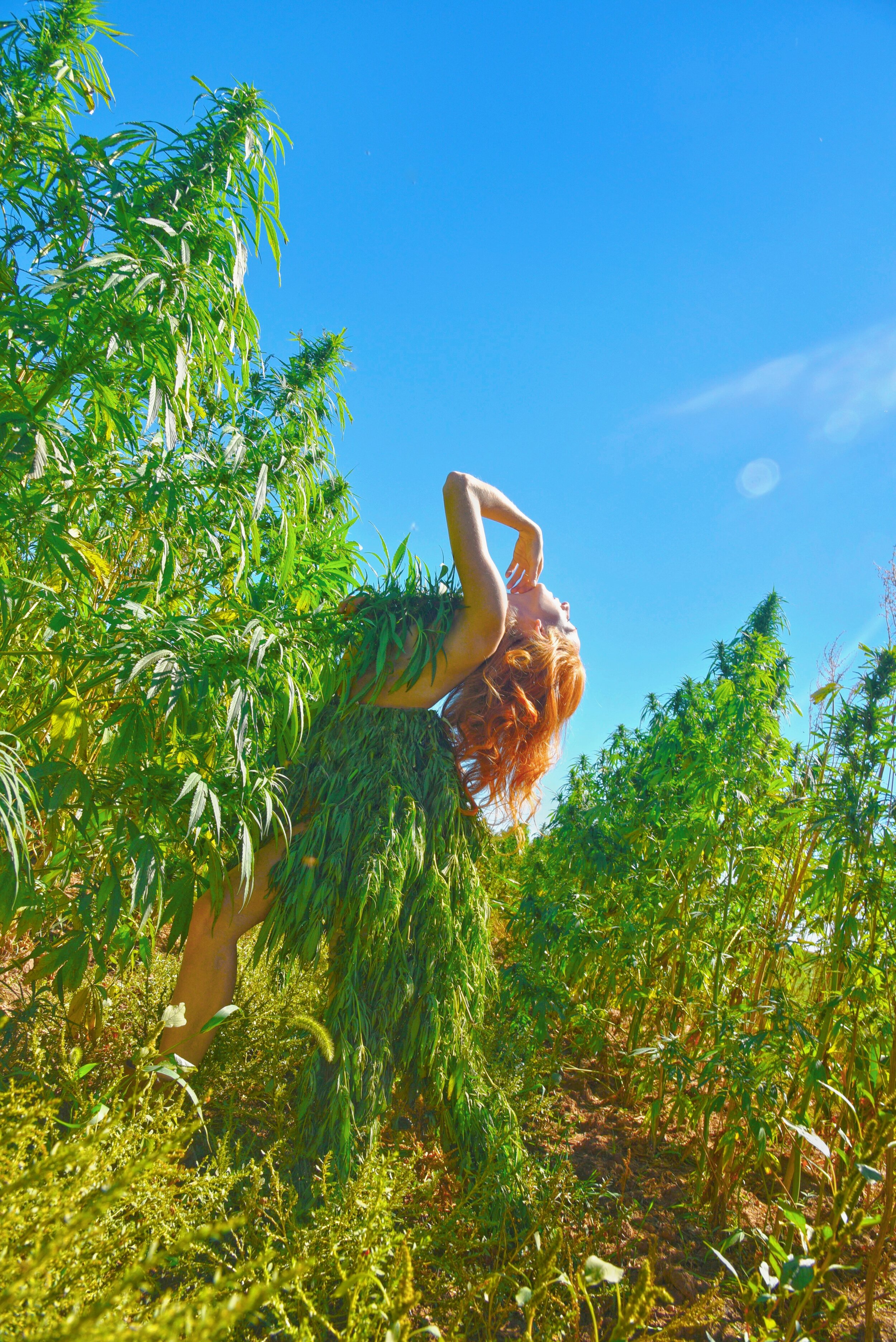 Queen Growing in a Field of Queens WEB.jpg