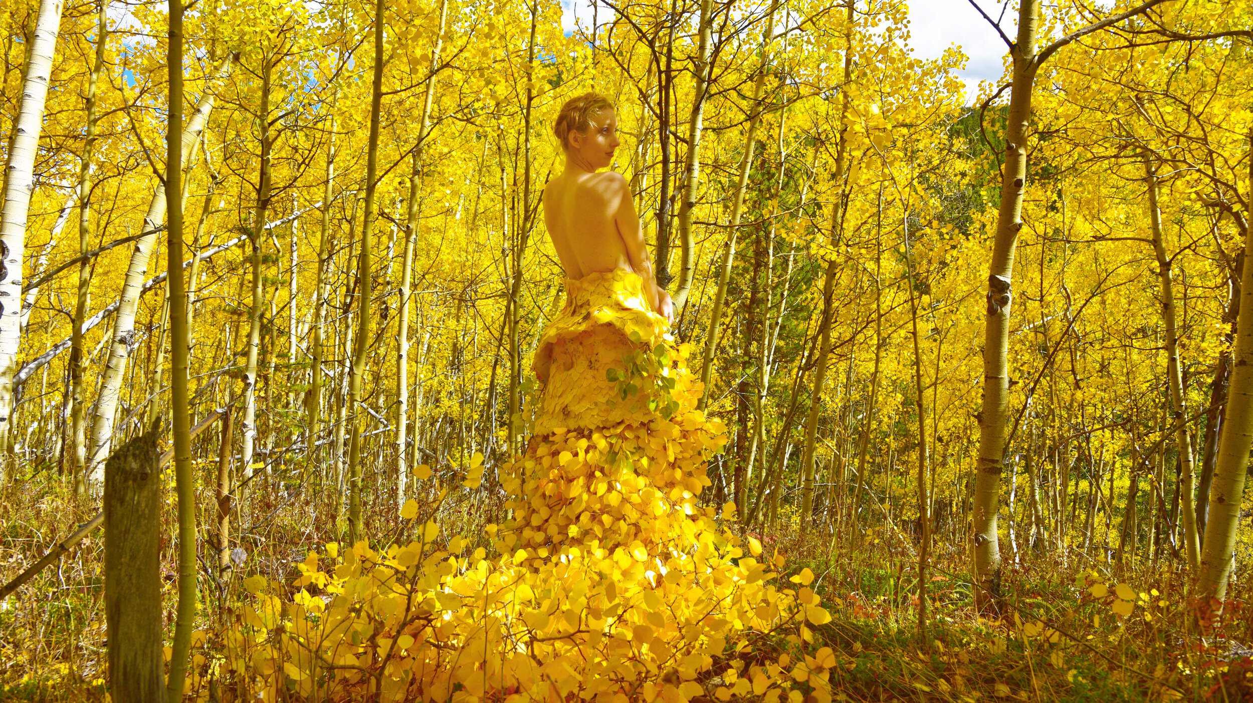 The Aspen Forest Dress.jpg