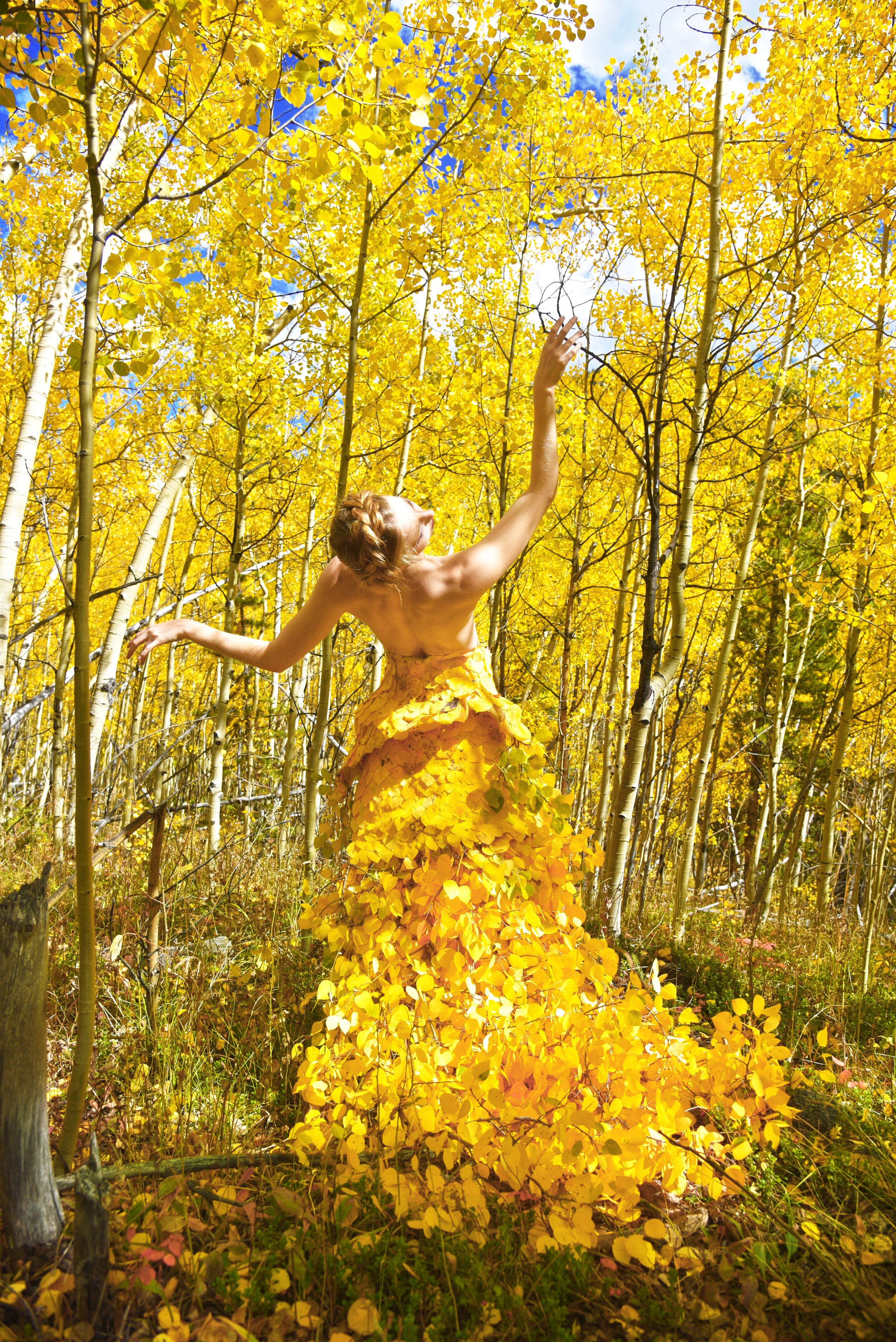 Aspen Leaf Dress Carly Carpenter Photography.jpg