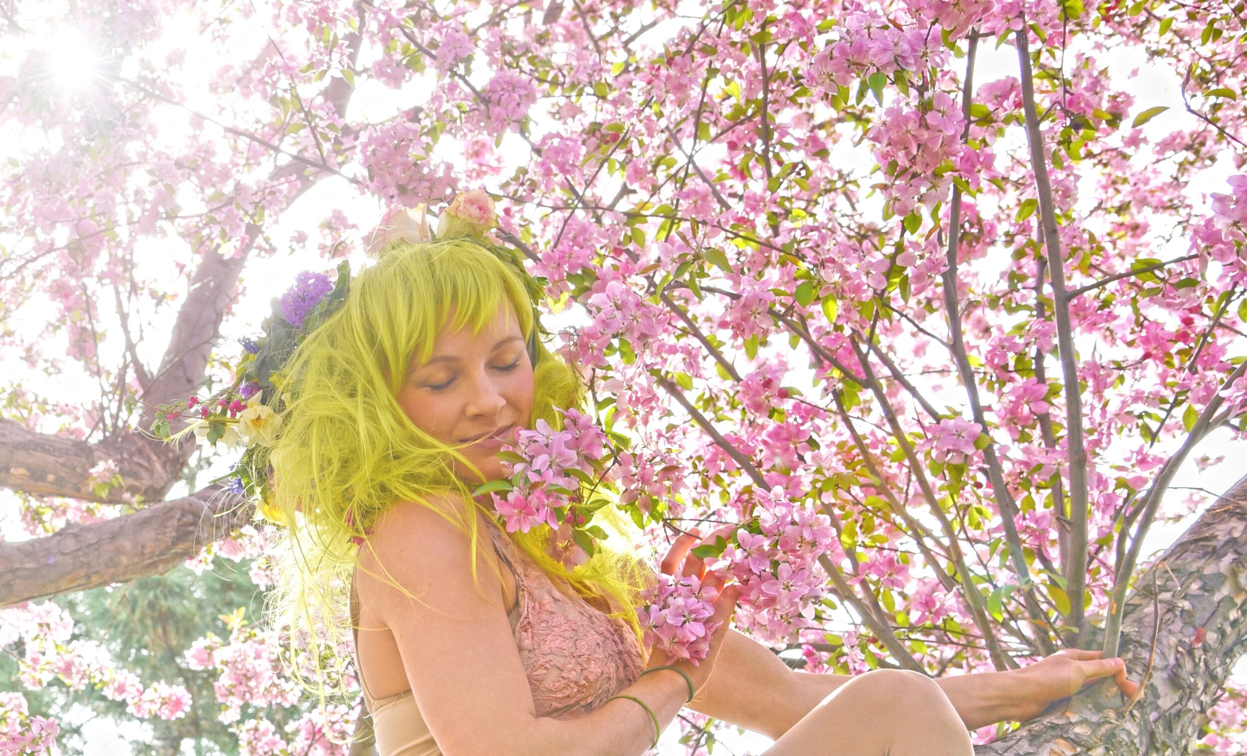 Ariana AirFairy Cherry Blossoms Carly Carpenter Photography.jpg