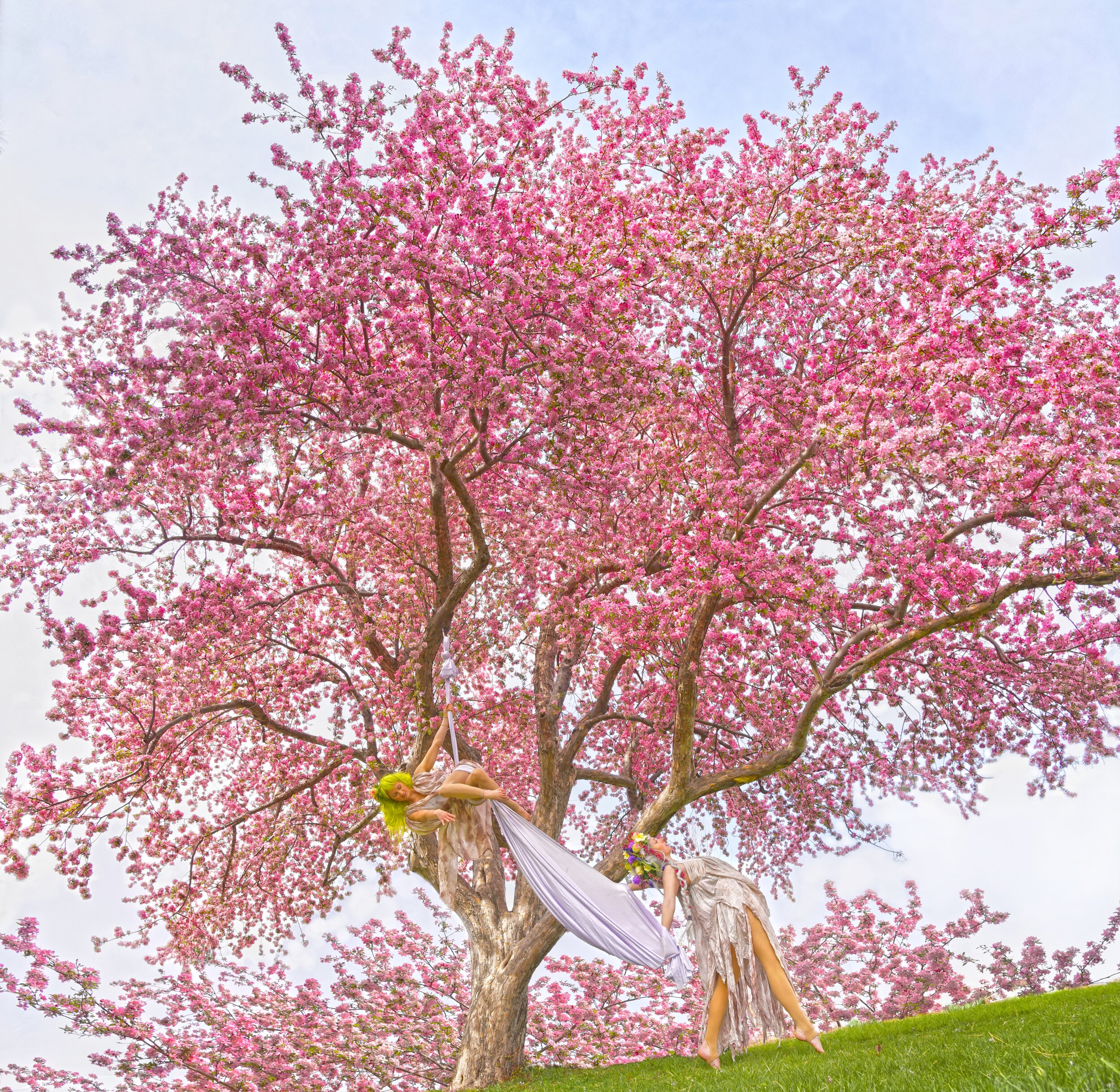Blossom Tree Fairies Carly Carpenter Photograhy.jpg