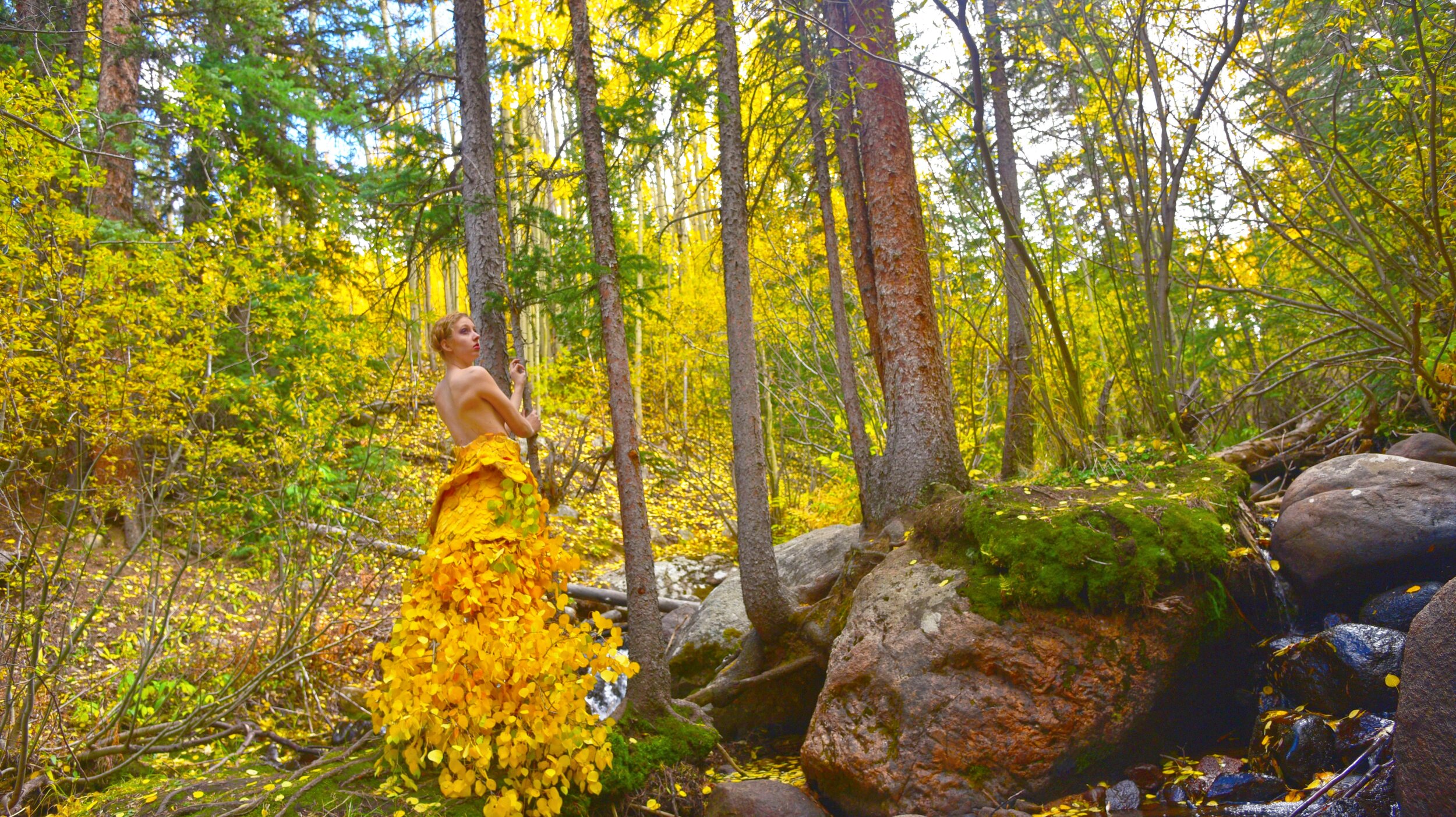 Yellow Leaf Dress Fairytale Carly Carpetner Photography.jpg