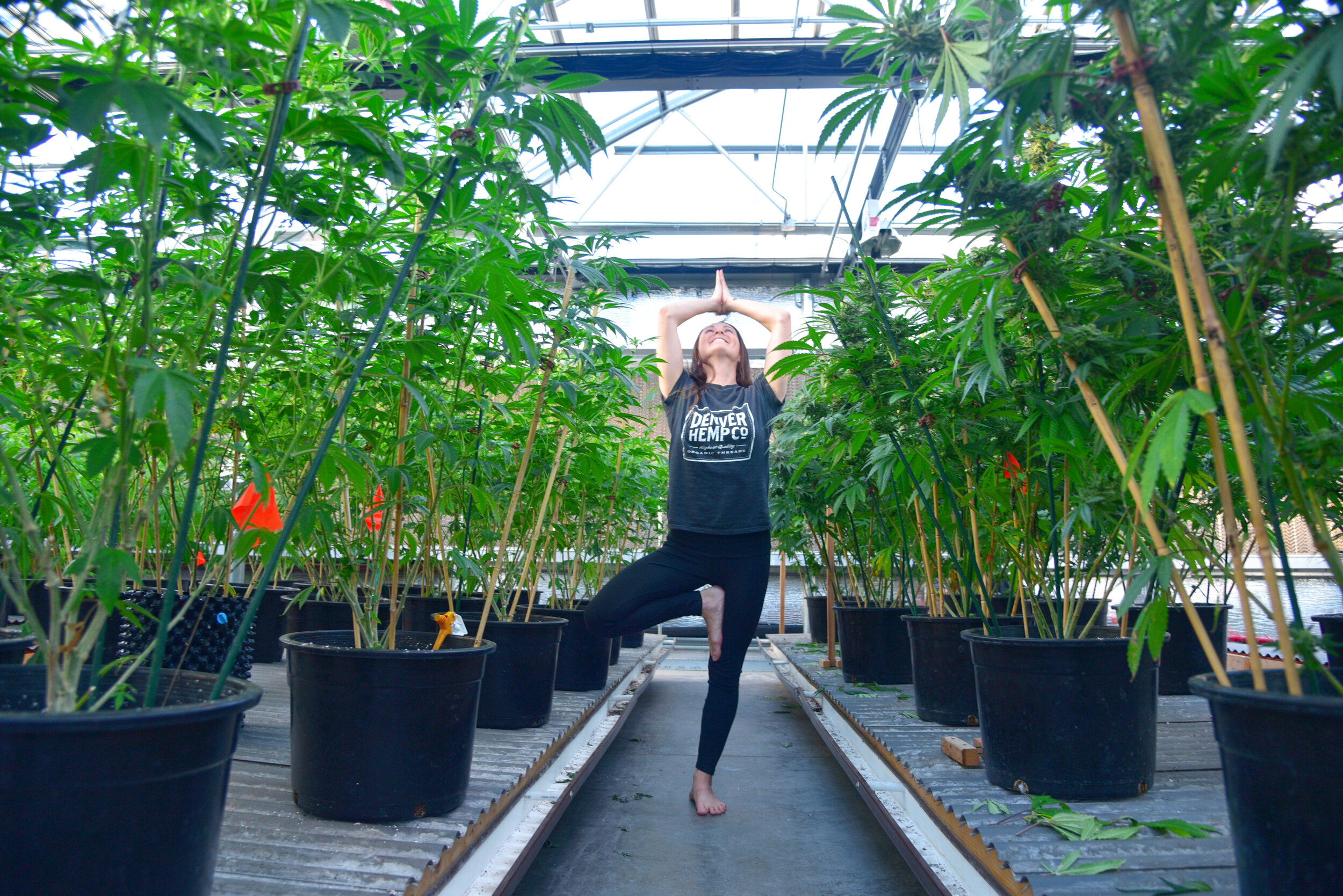 Denver Hemp Company Yoga Carly Carpenter Photography.jpg