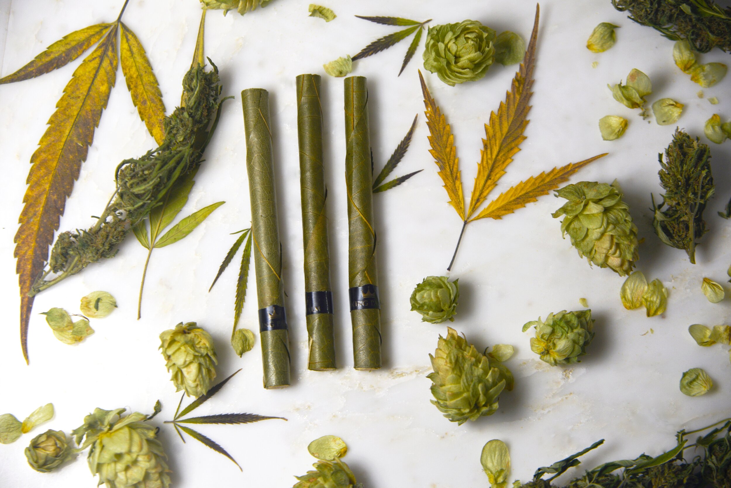 Hemp Hops Cigars Carpenter Botanicals Carly Carpenter Photography.jpg