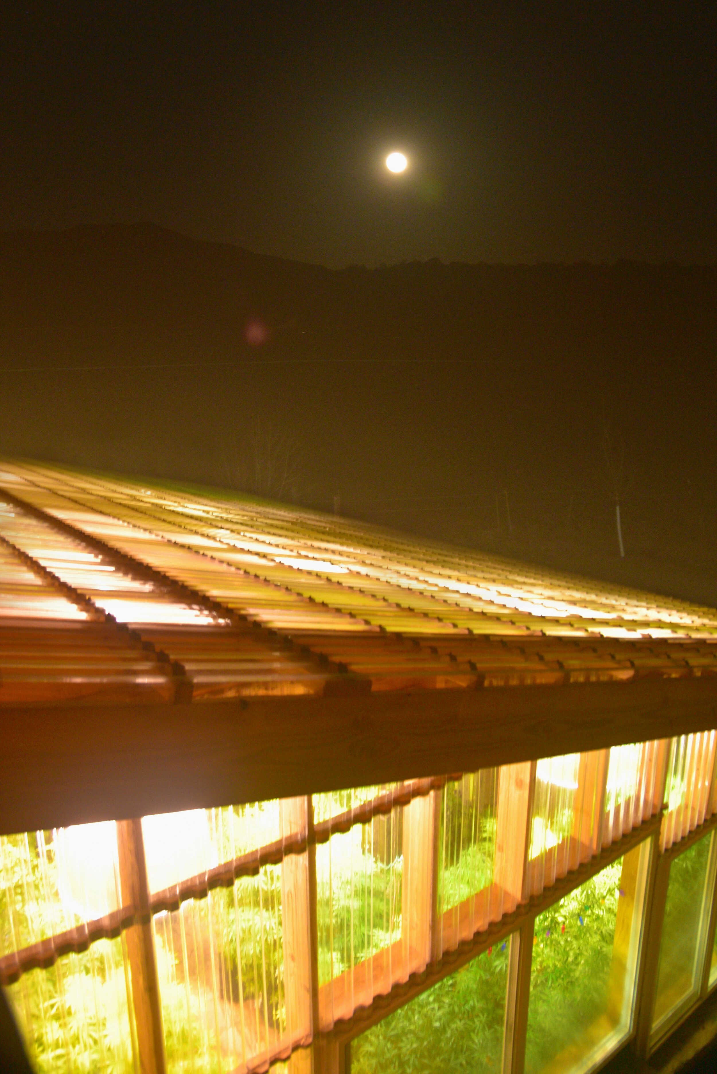 Full Moon Greenhouse Carly Carpenter Photography.jpg