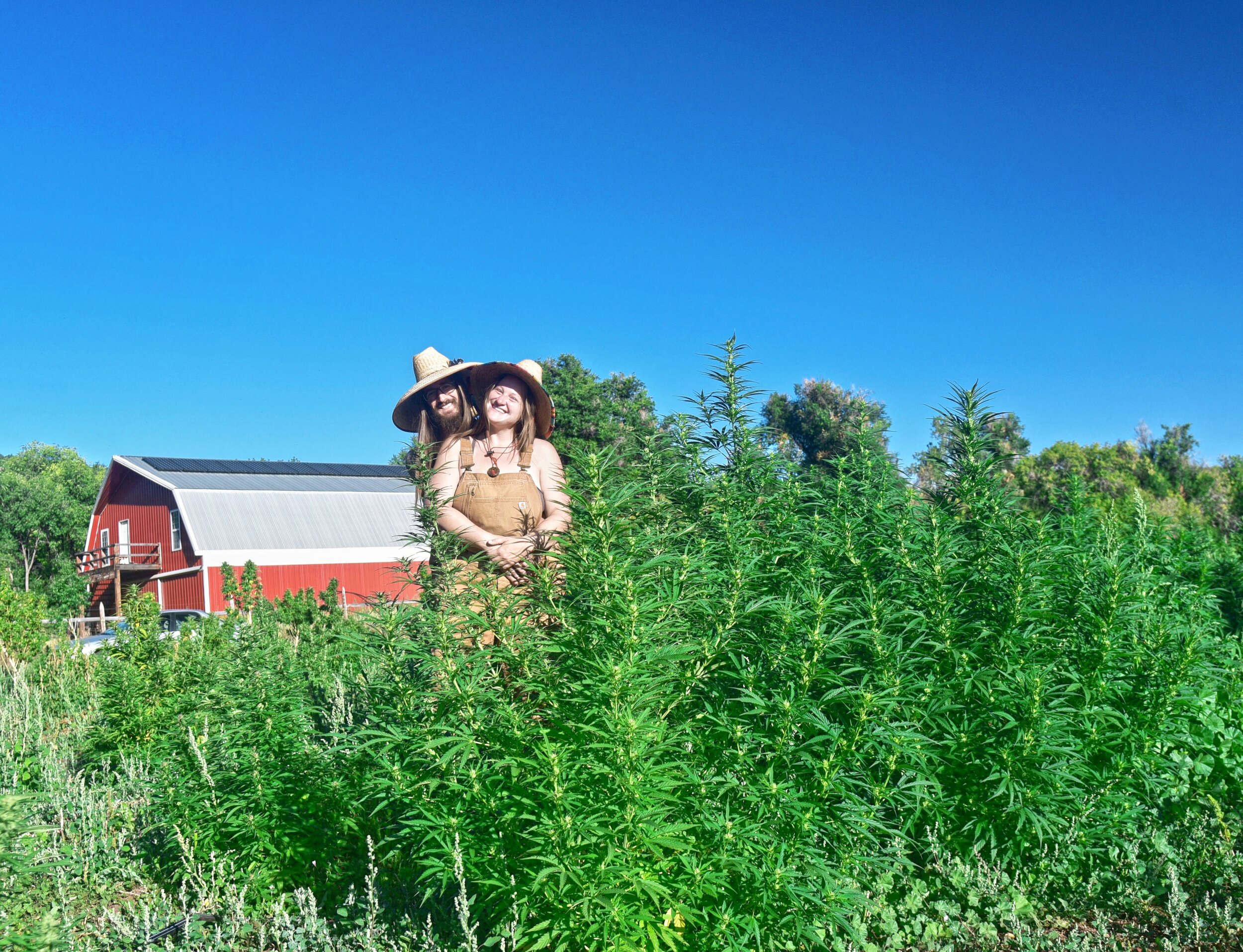 HEMP LYFE Carpenter Botanicals Carly Carpenter Photography.jpg