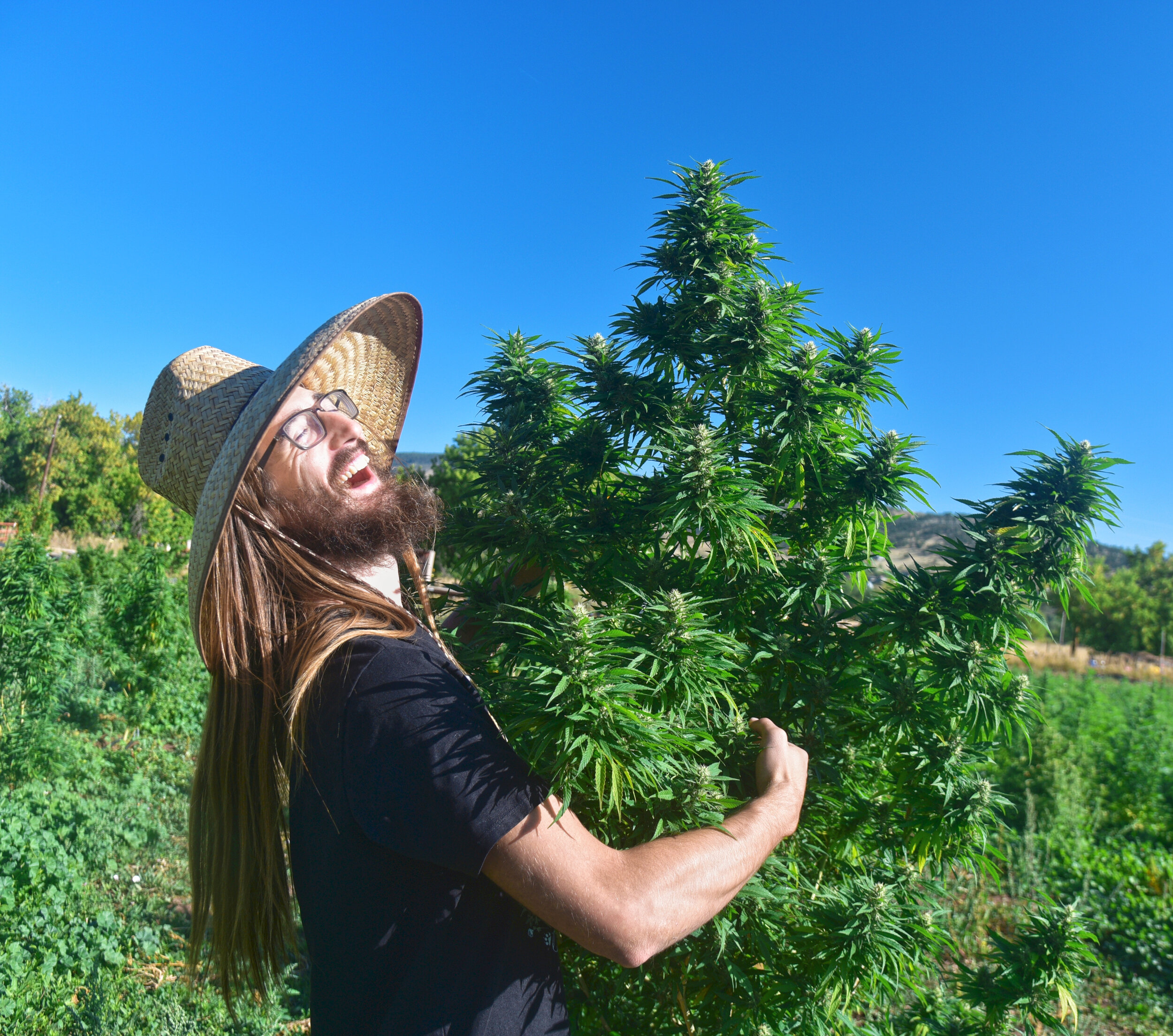 Tree Hugger Hemp Farmer Carpenter Botanicals Carly Carpenter Photography.jpg