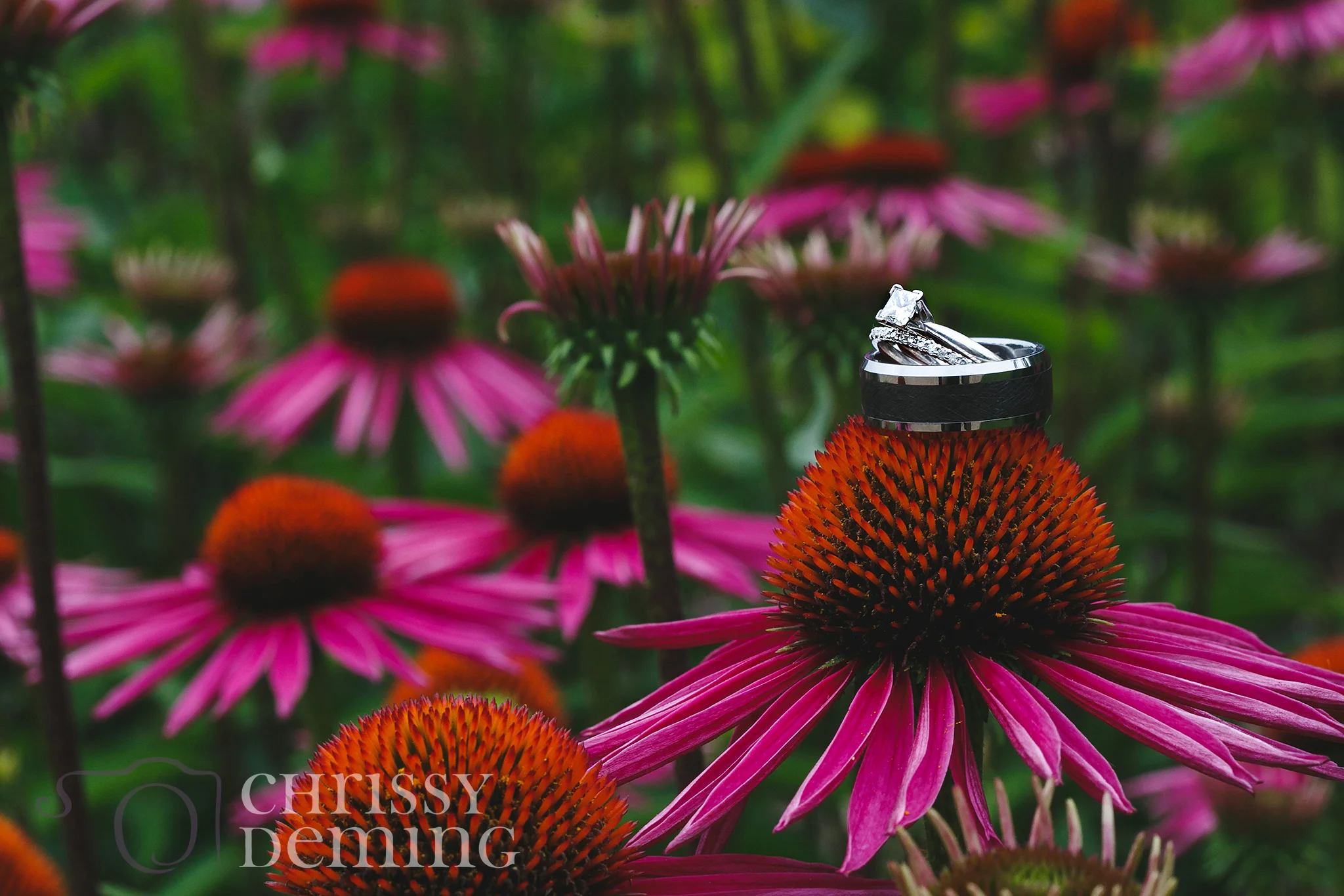 Morton Arboretum Wedding | Jason & Katie