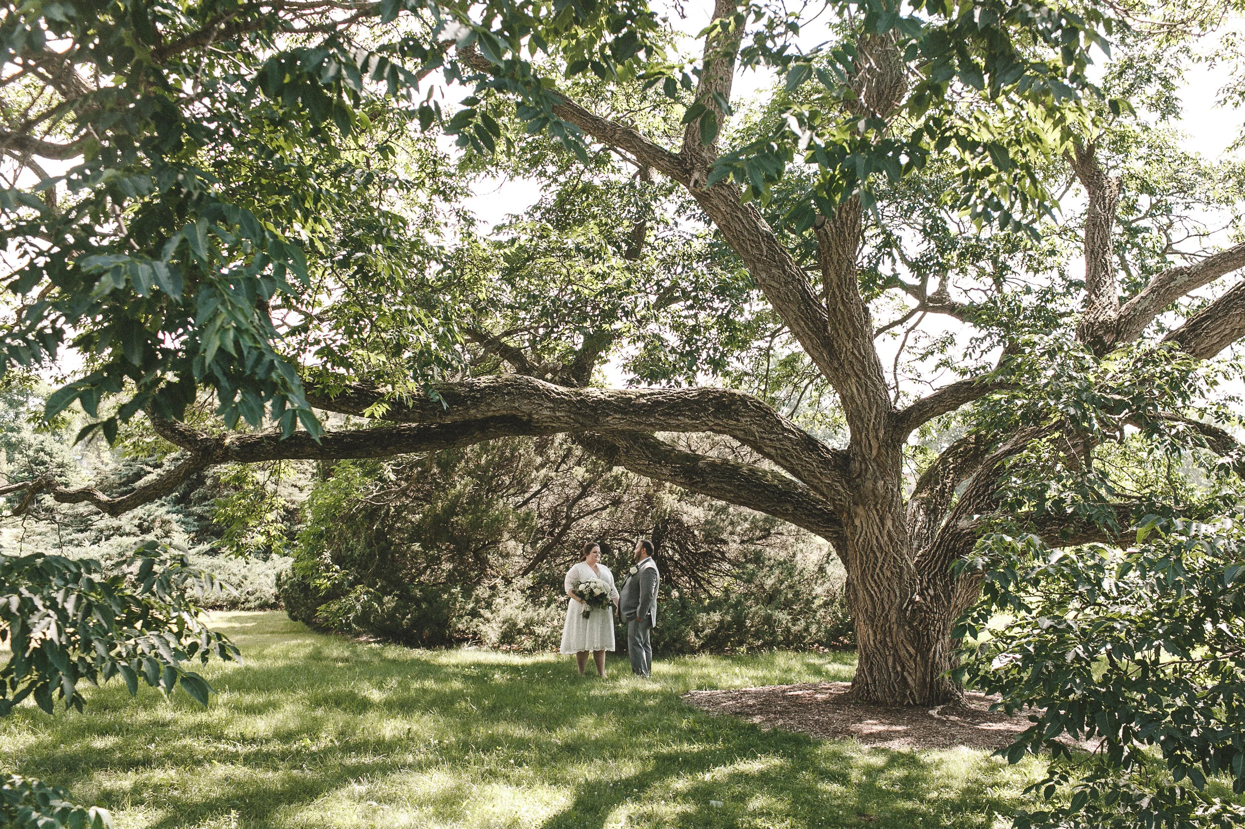 Morton Arboretum Wedding Photography | Bernard &amp; Katherine