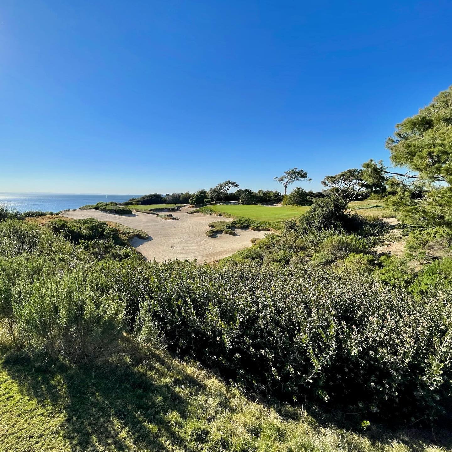 #pelicanhillgolf #oceansouth #golf #golfballsweresacrificed
