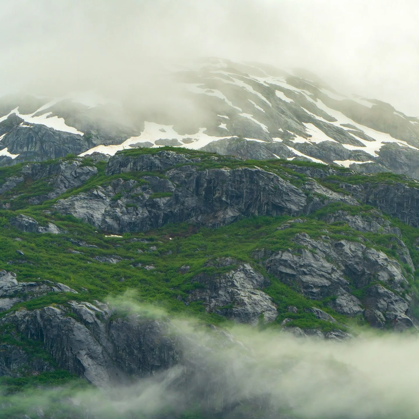 #alaska #glacierbay #glacierbaynationalpark #glacierbayalaska #thelastfrontier #outdoorphotography #landscapesphotography #naturephotograpy #nature