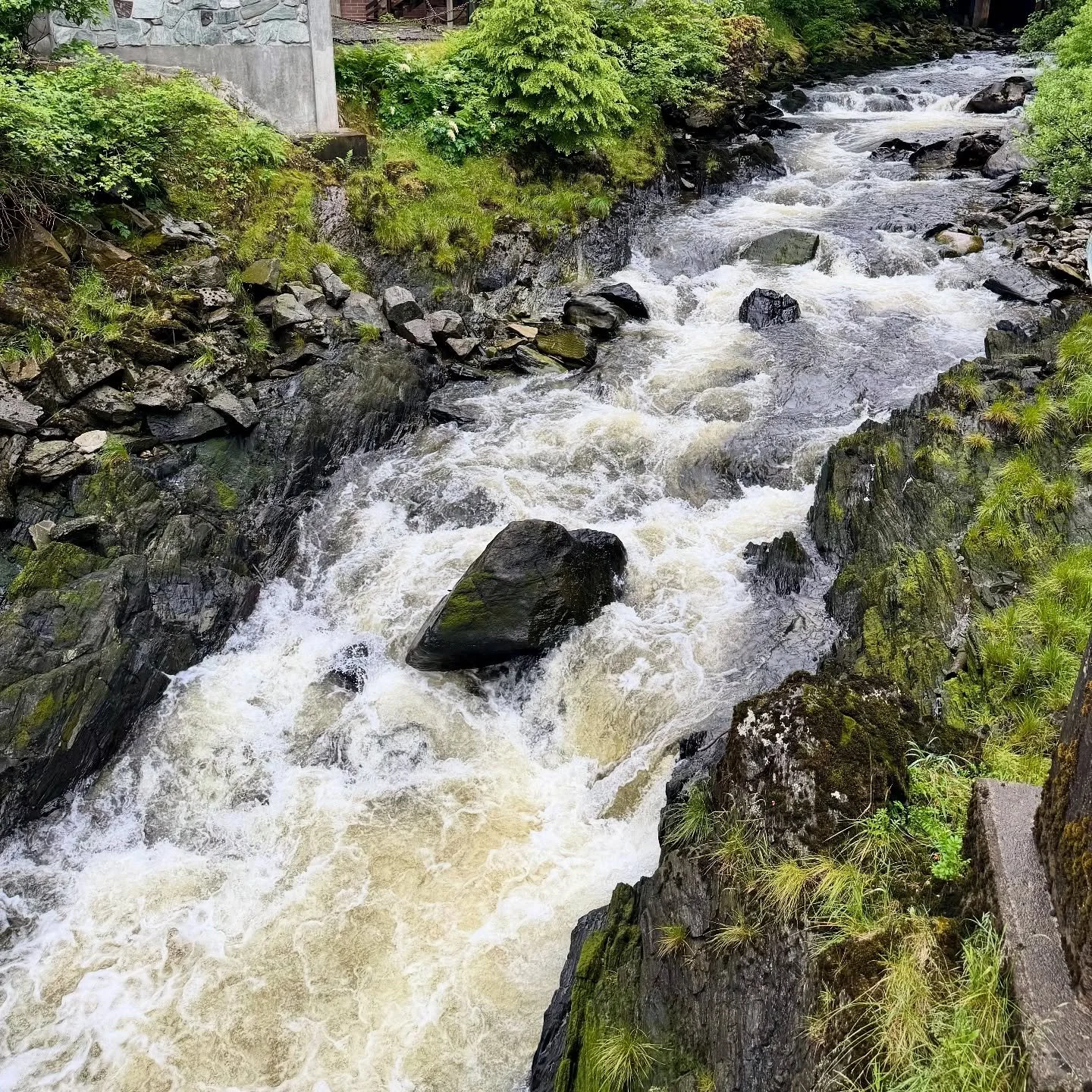 #ketchikan #alaska #creekstreet #creekstreetketchikan #lastfrontier
