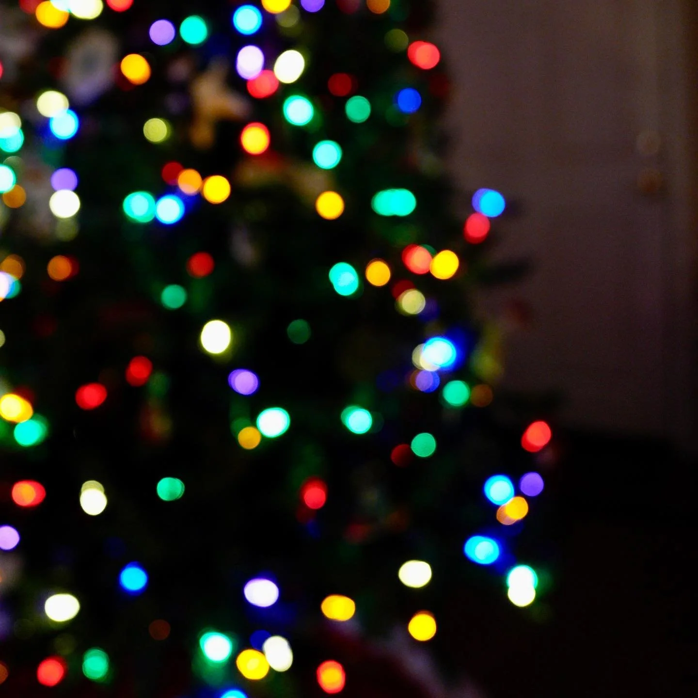 #xmas #xmastree #xmaslights