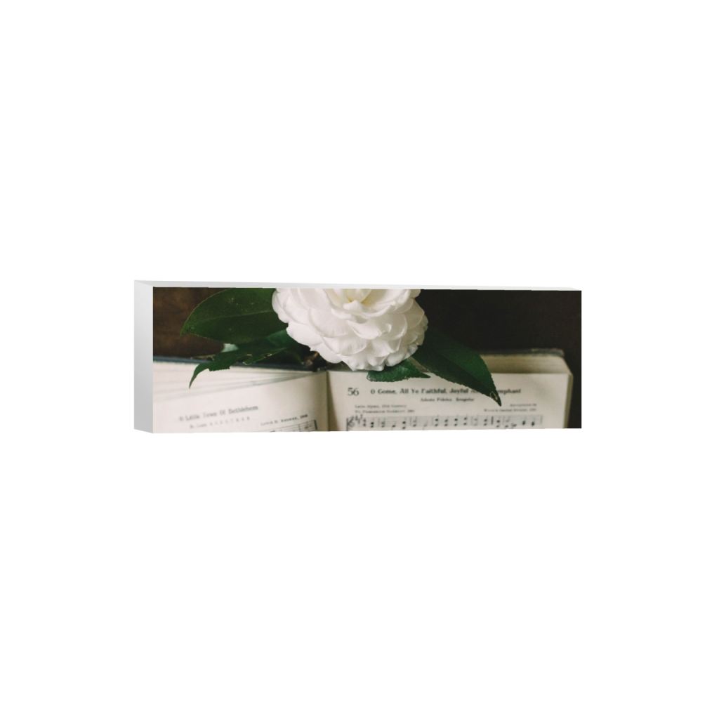 canvas_rectangle1_3_0_2060_7360_2453_0.png