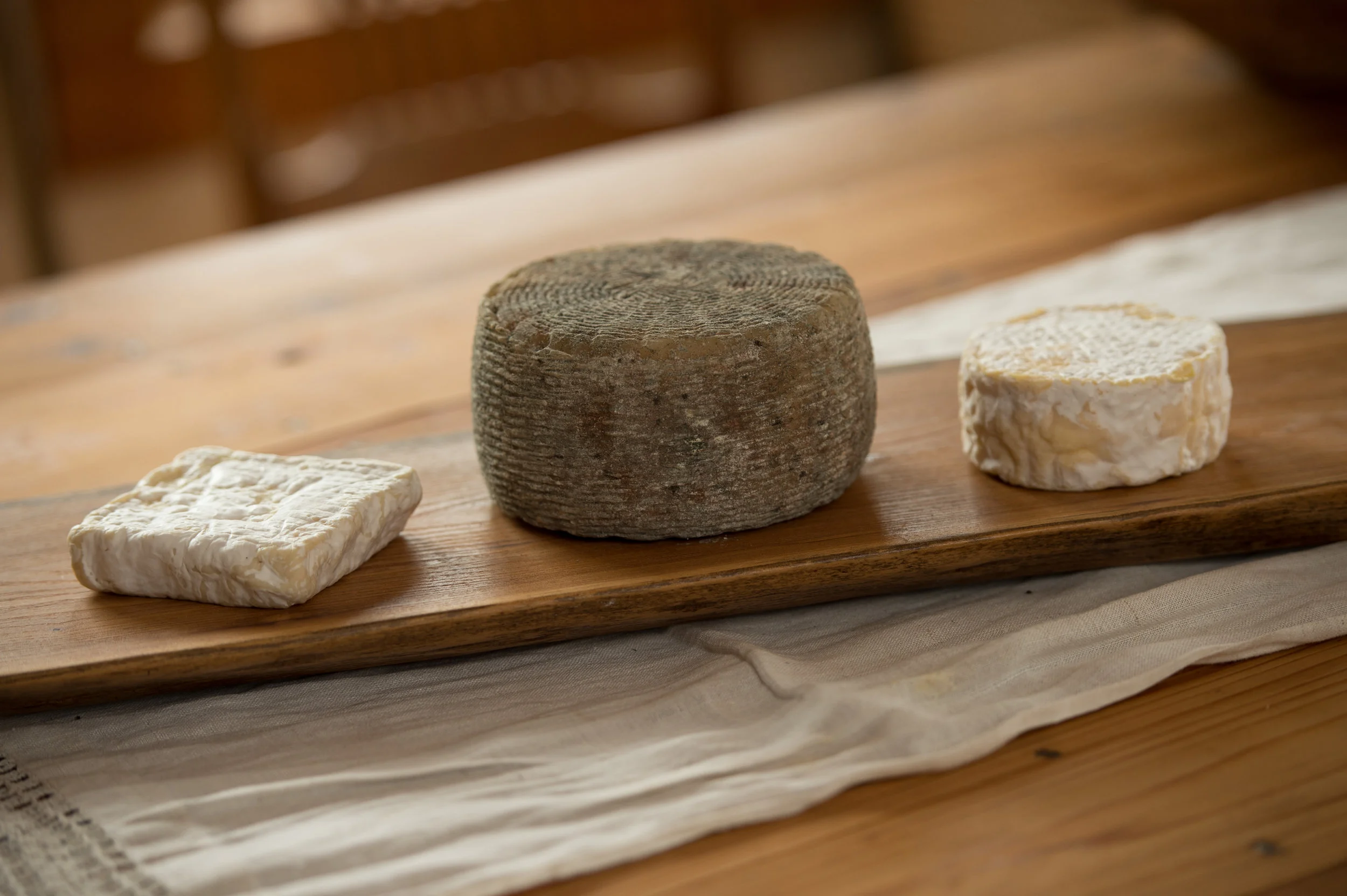 Introduction to Hard Cheeses and Affinage w/ Gail Hobbs-Page