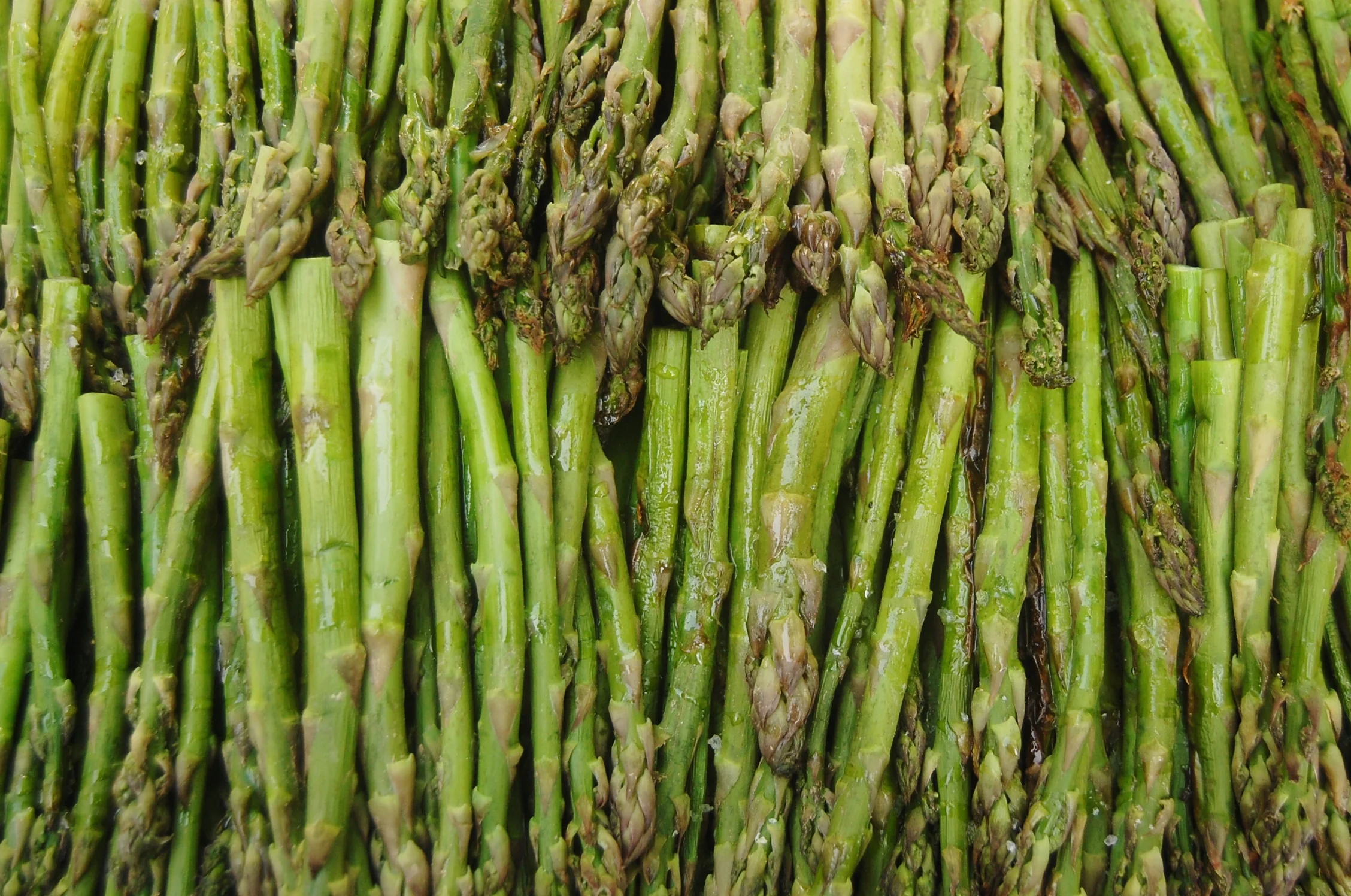 Culinary Workshop: A Complete Vegetarian Feast