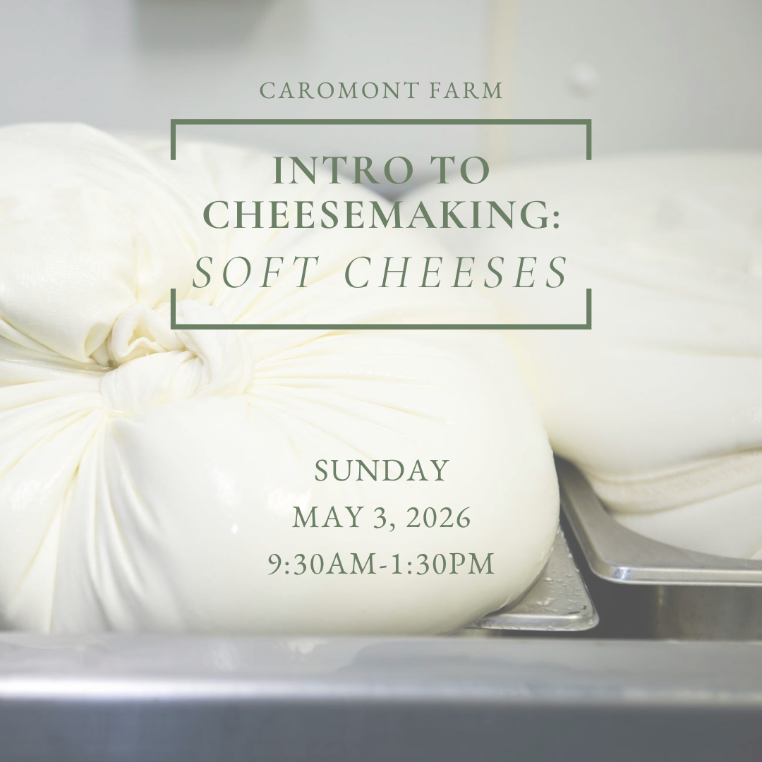 Orange Market Event Instagram Post (6).png